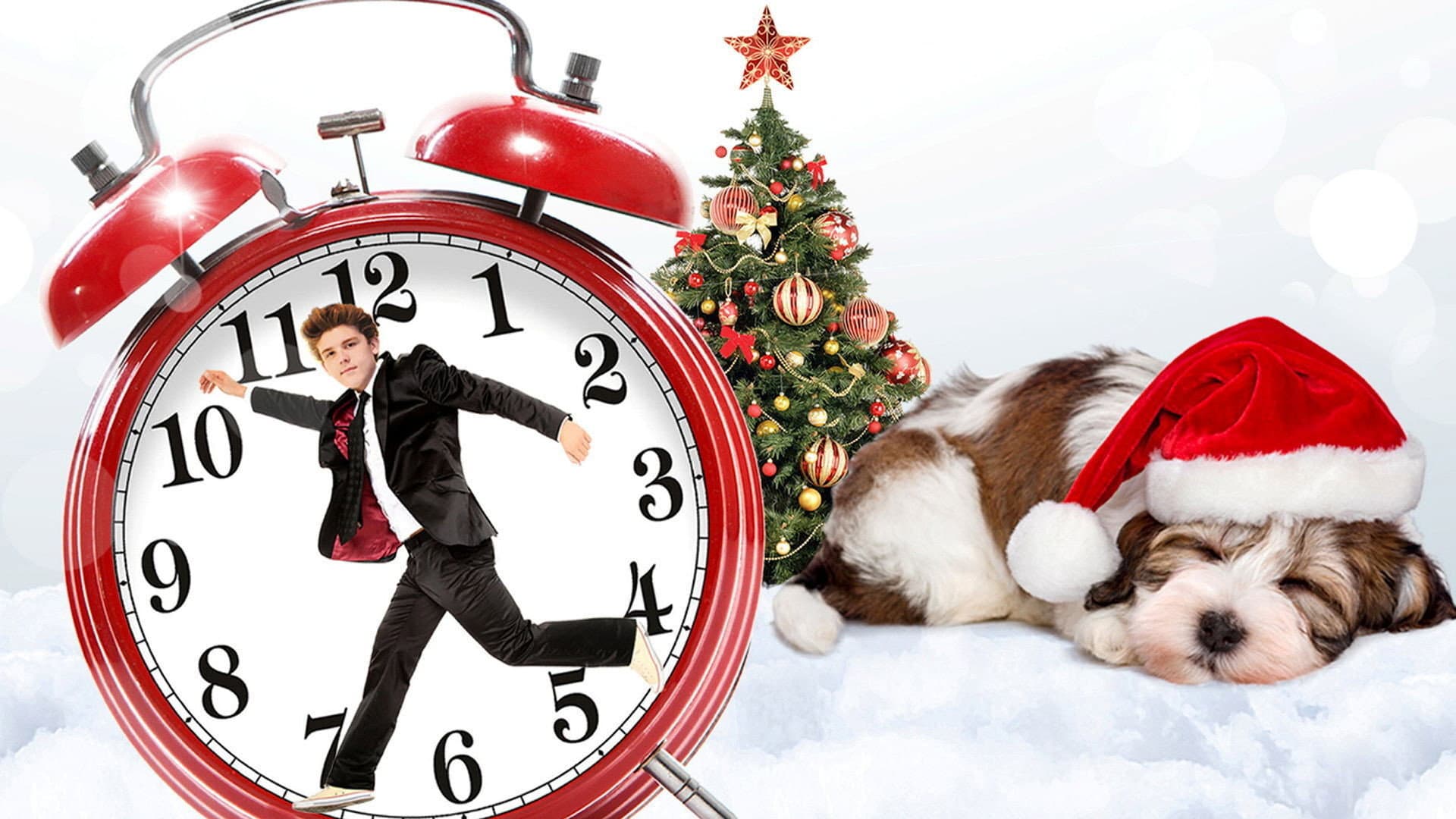 Oggi è sempre Natale - immagine