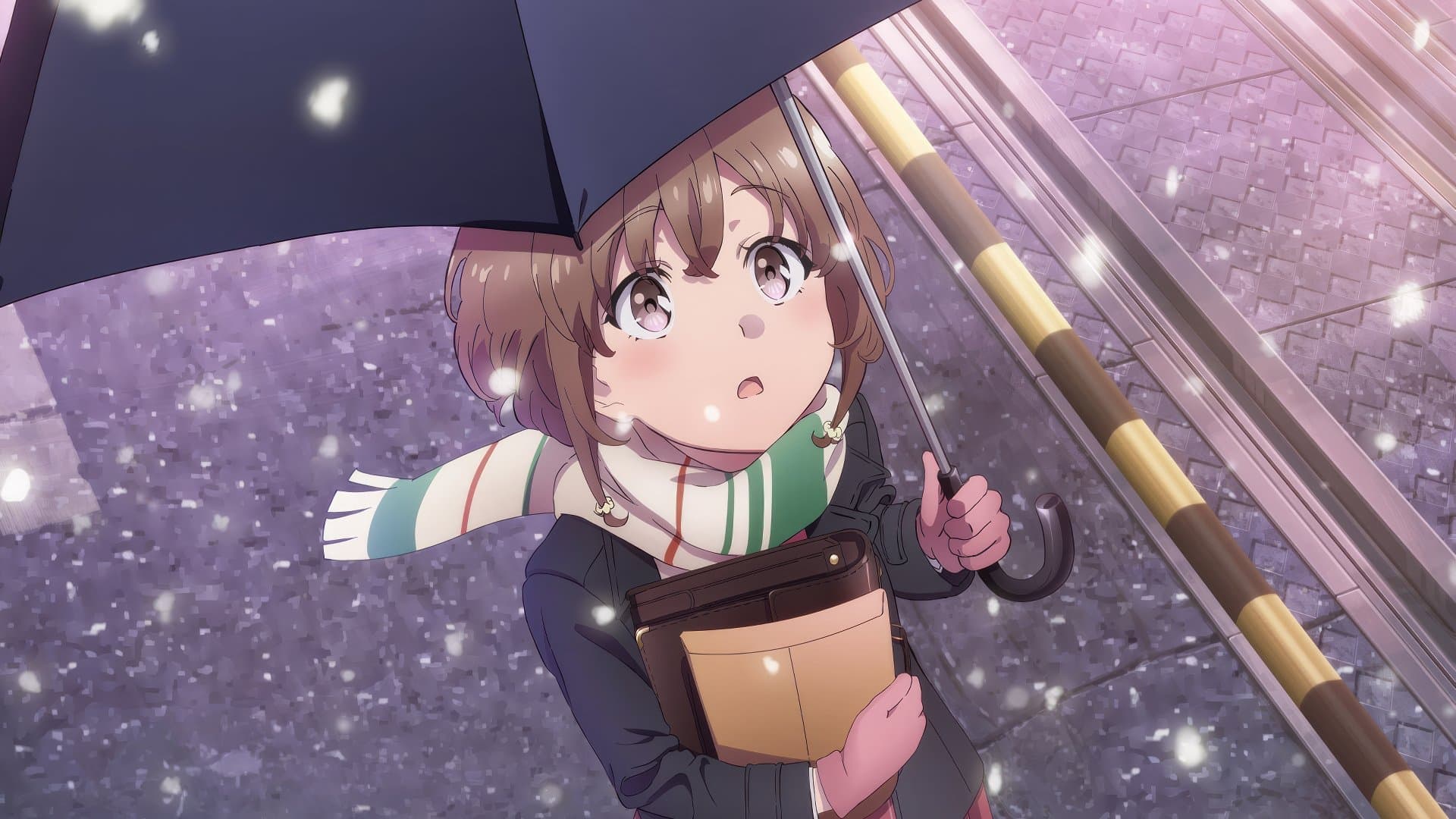 Rascal Does Not Dream of a Sister Venturing Out - immagine