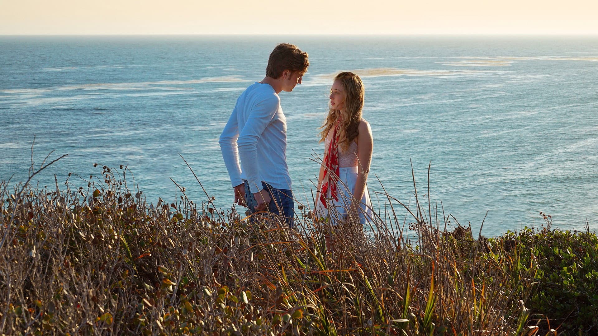 SPF-18 - immagine