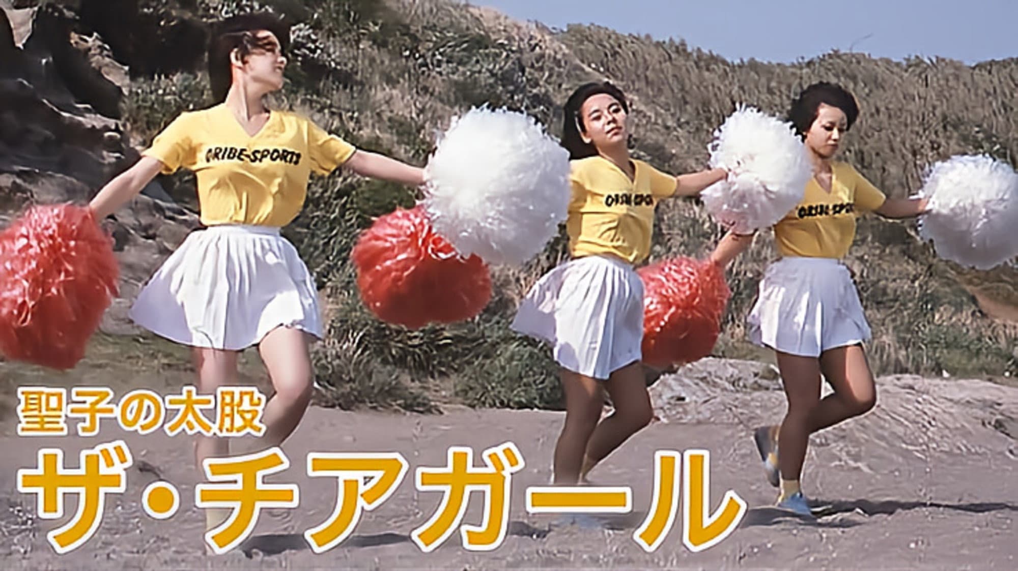 聖子の太股　ザ・チアガール - immagine