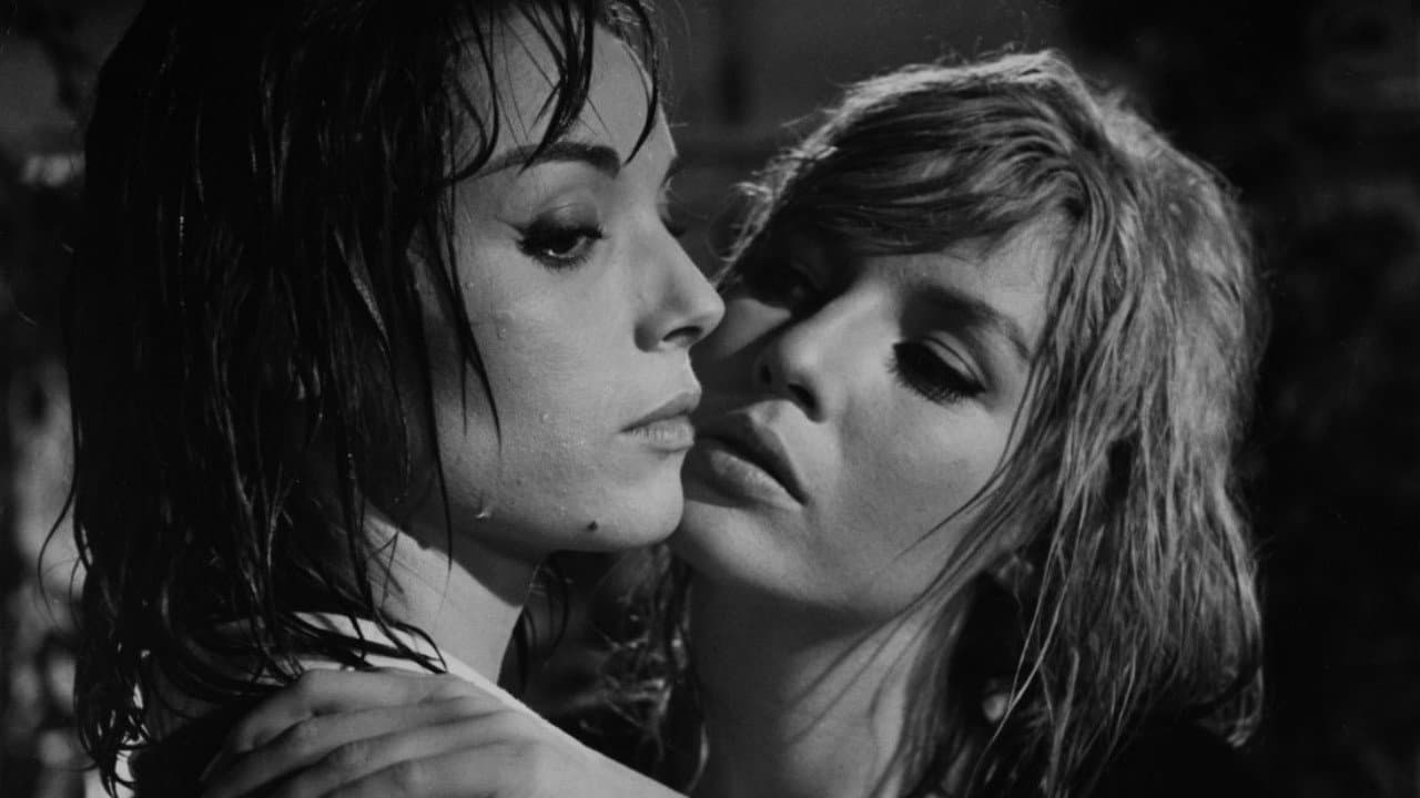 Il sangue e la rosa - immagine