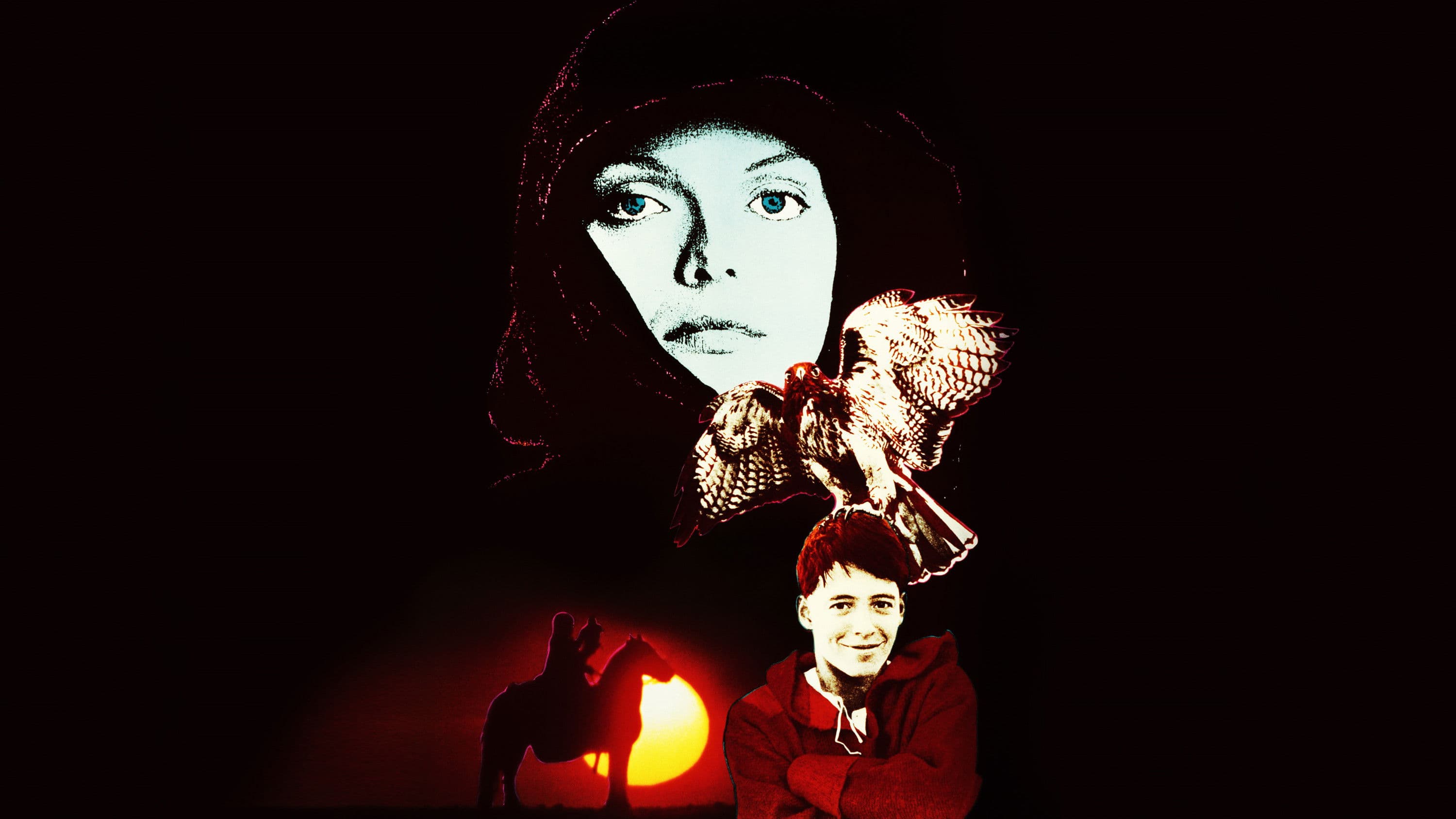 Ladyhawke - immagine