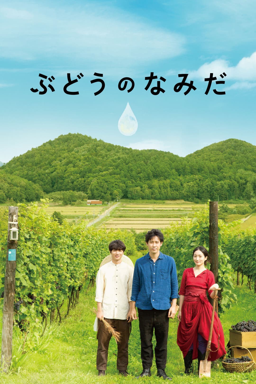 Poster di ぶどうのなみだ
