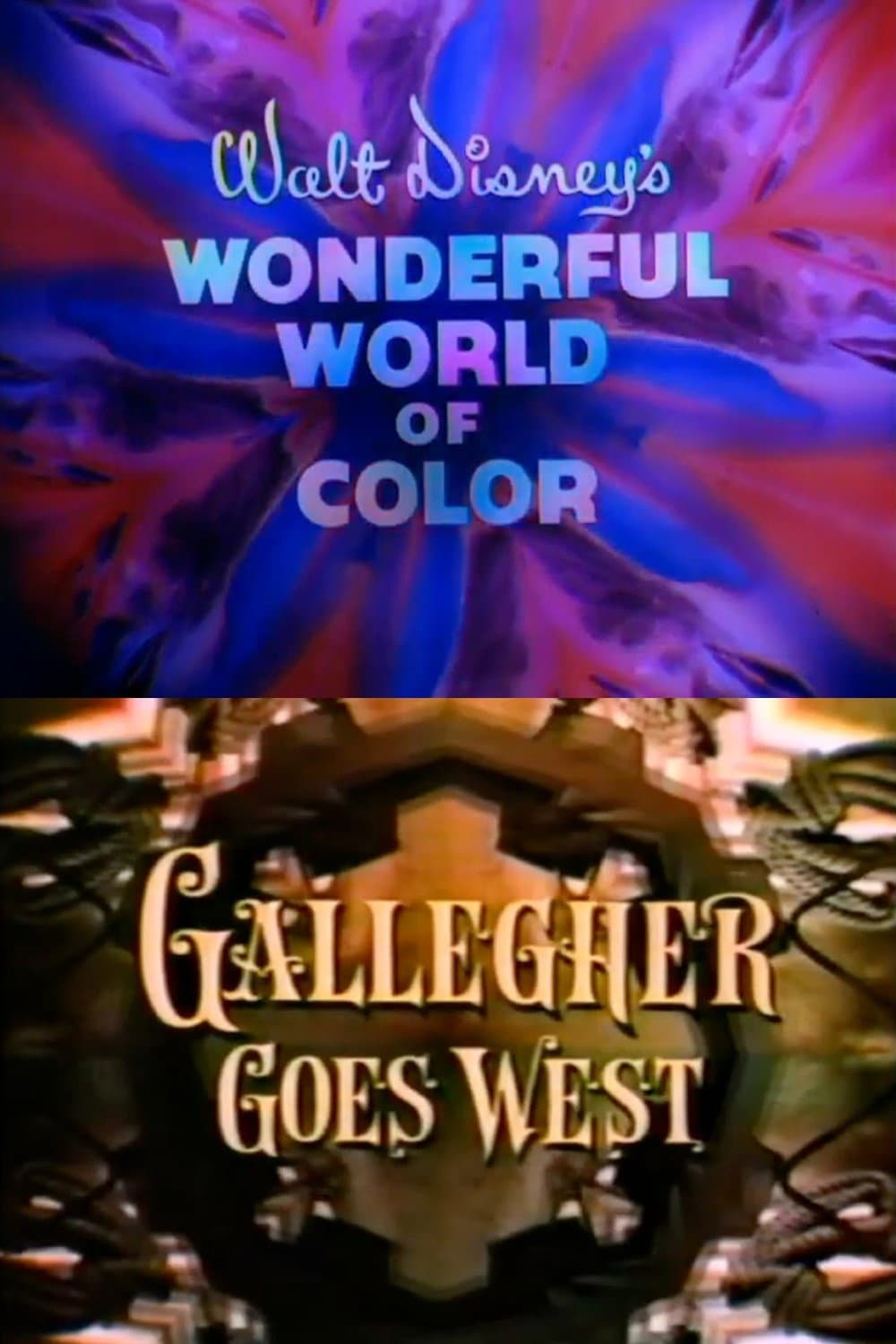 Poster di Gallegher Goes West