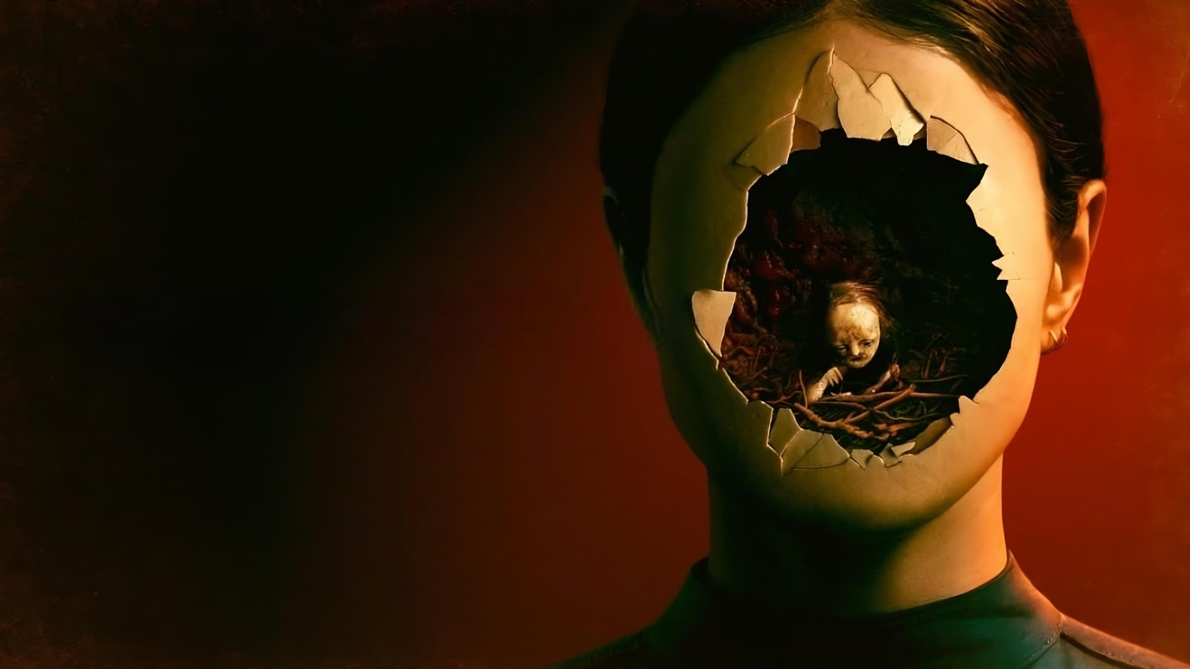 Stopmotion - immagine