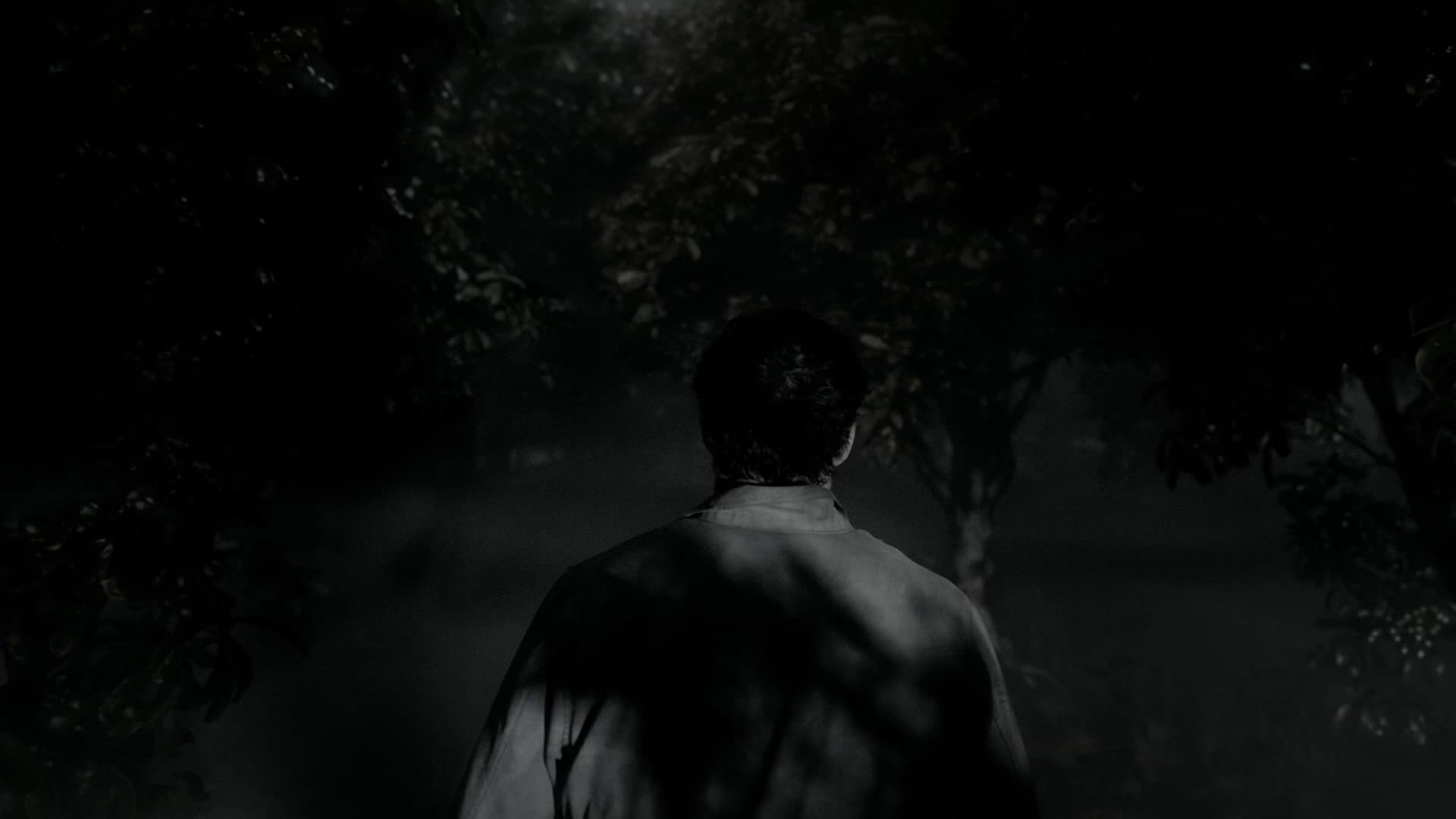 Mercy Road - immagine