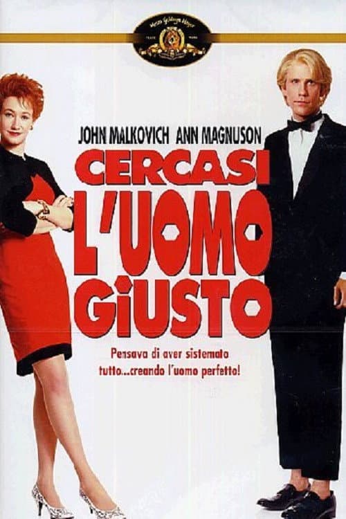 Poster di Cercasi l'uomo giusto