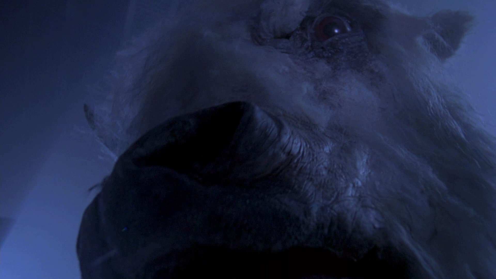 Sfida a White Buffalo - immagine