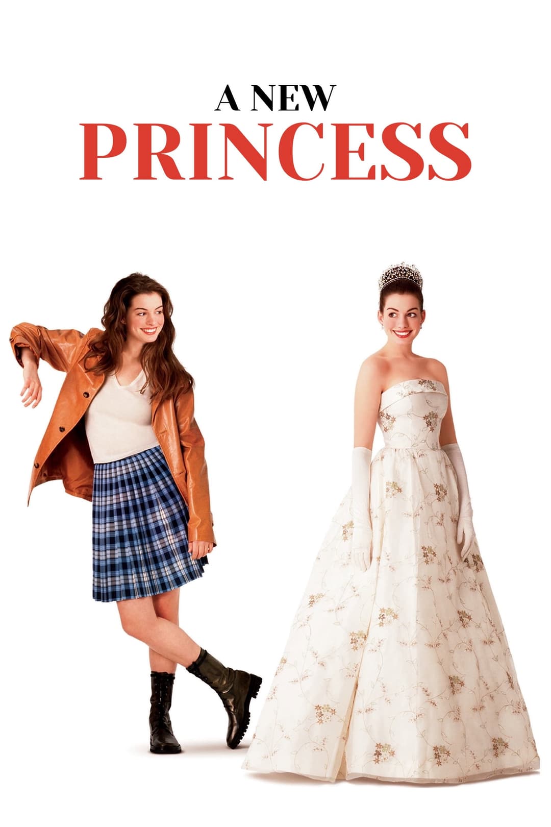 Poster di A New Princess