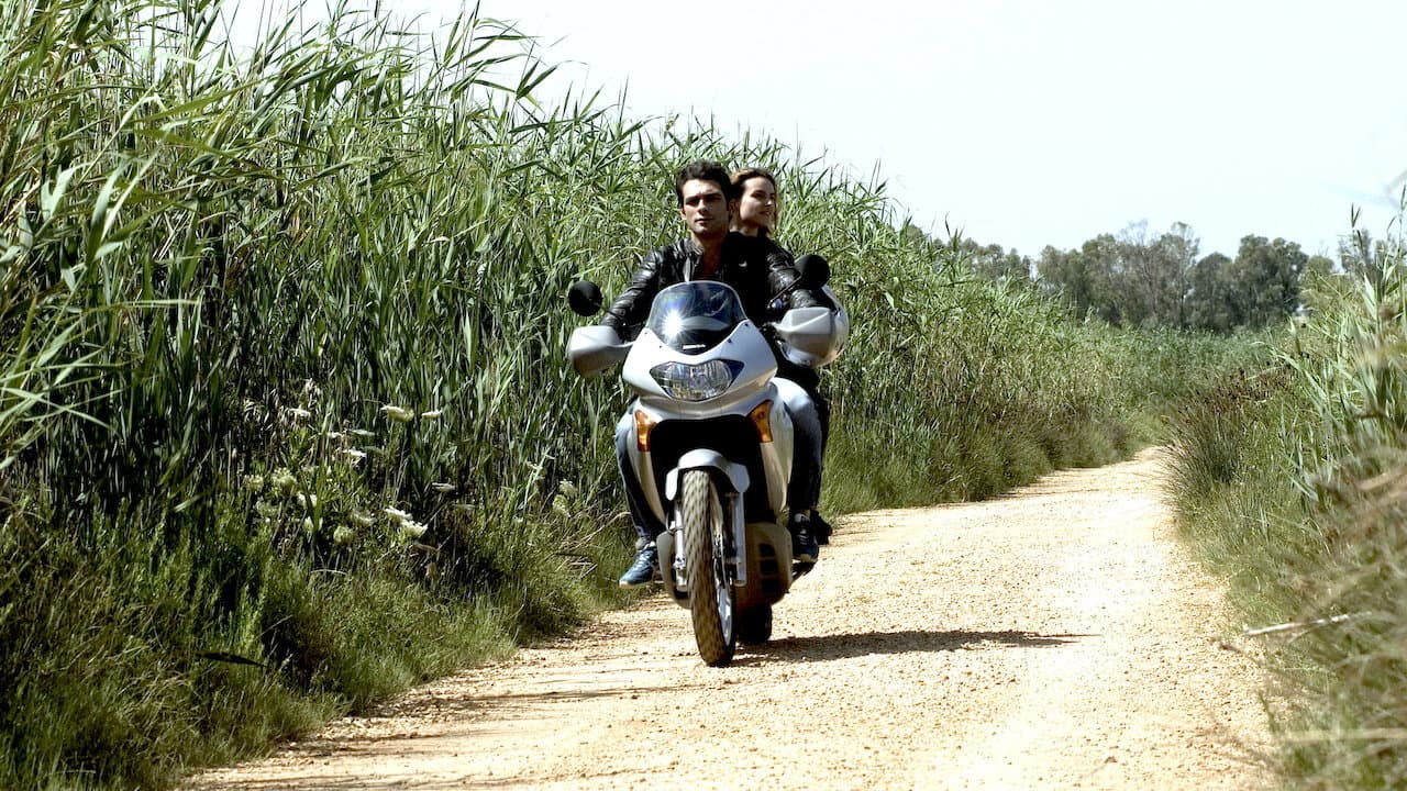 Allacciate le cinture - immagine