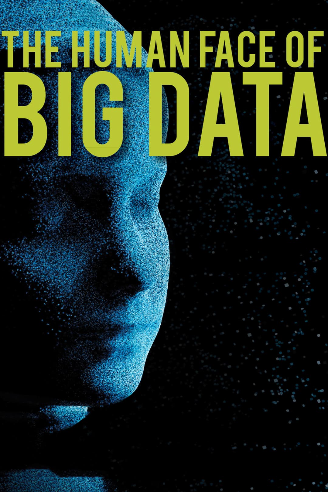 Poster di The Human Face of Big Data