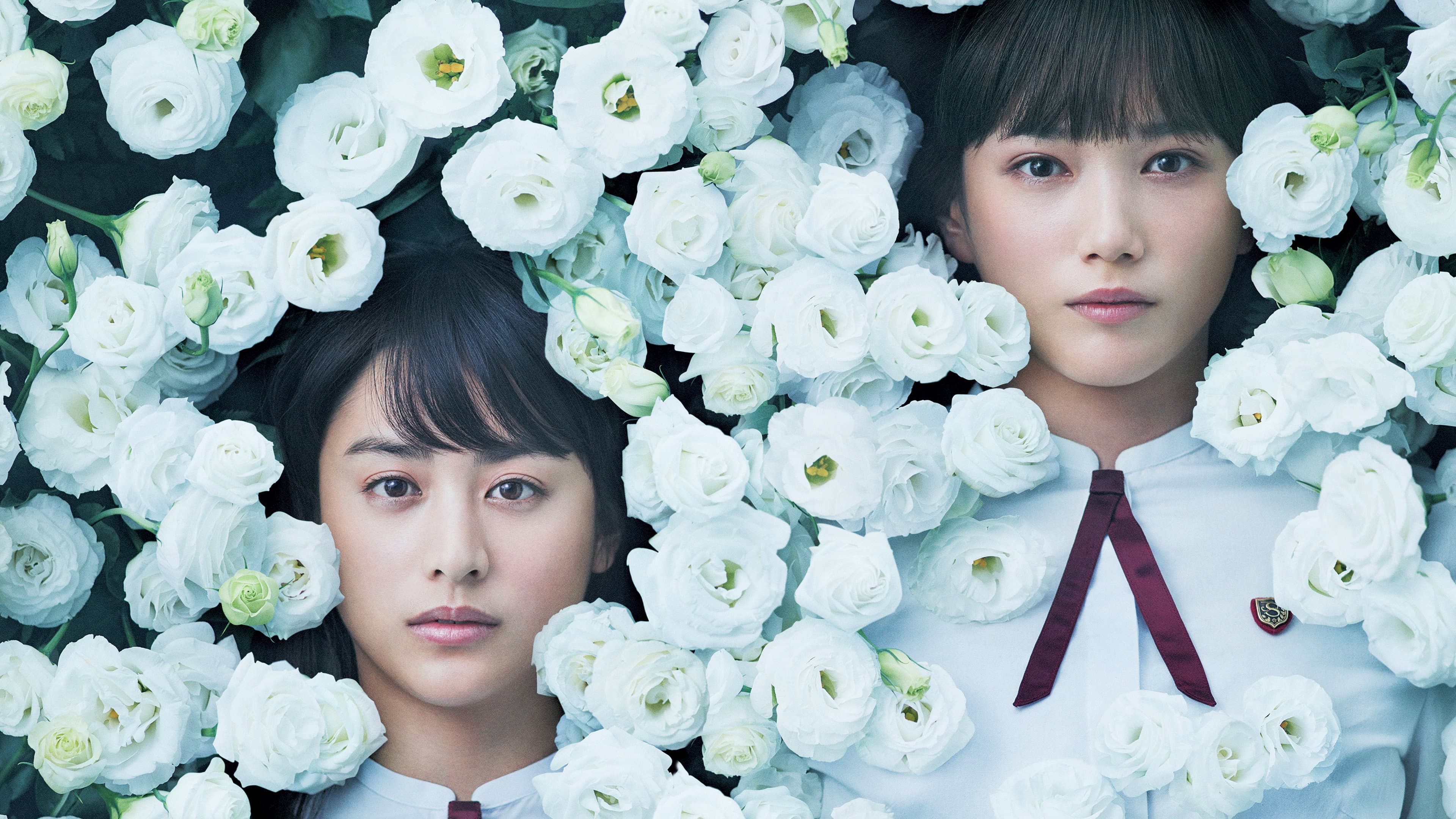少女 - immagine