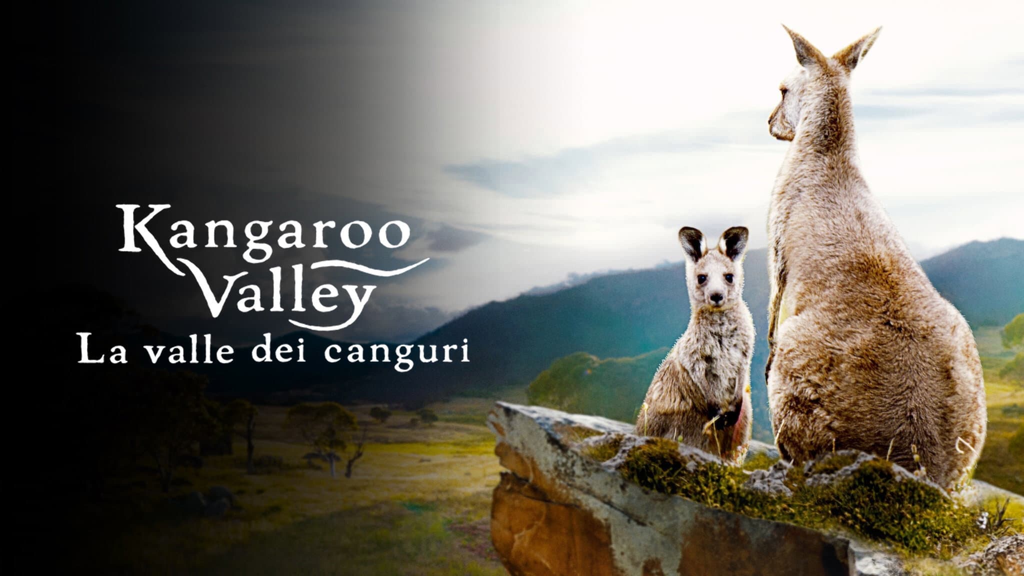 Kangaroo Valley - La valle dei canguri - immagine