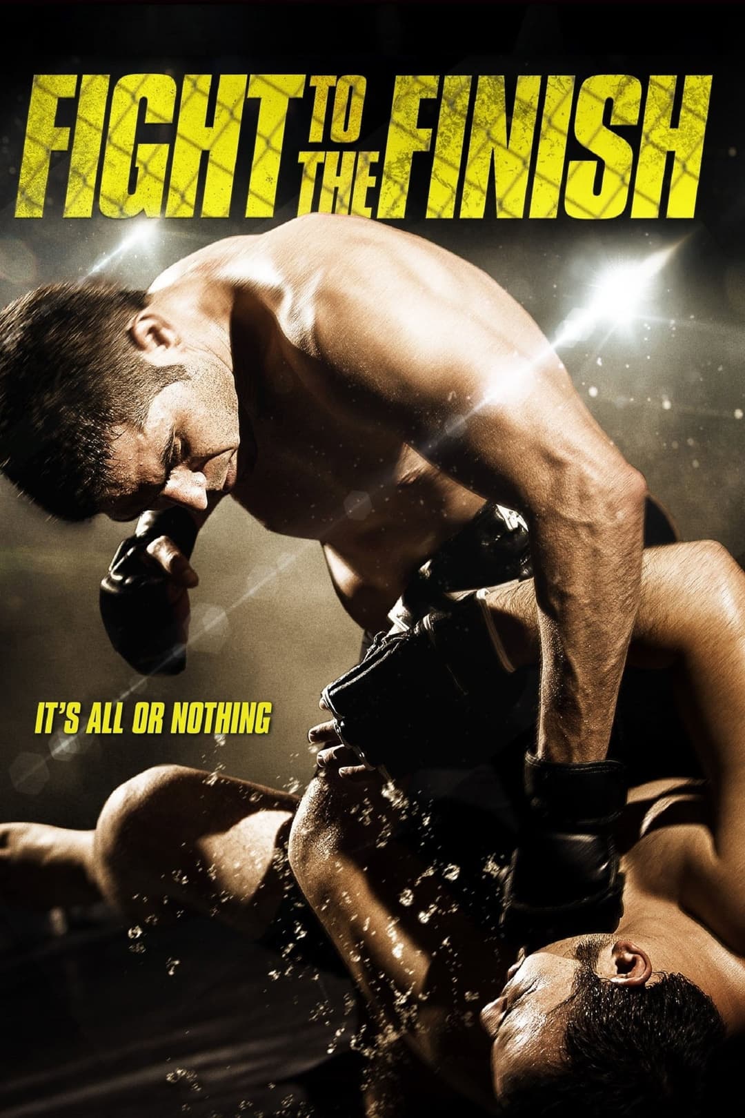Poster di Fight to the Finish