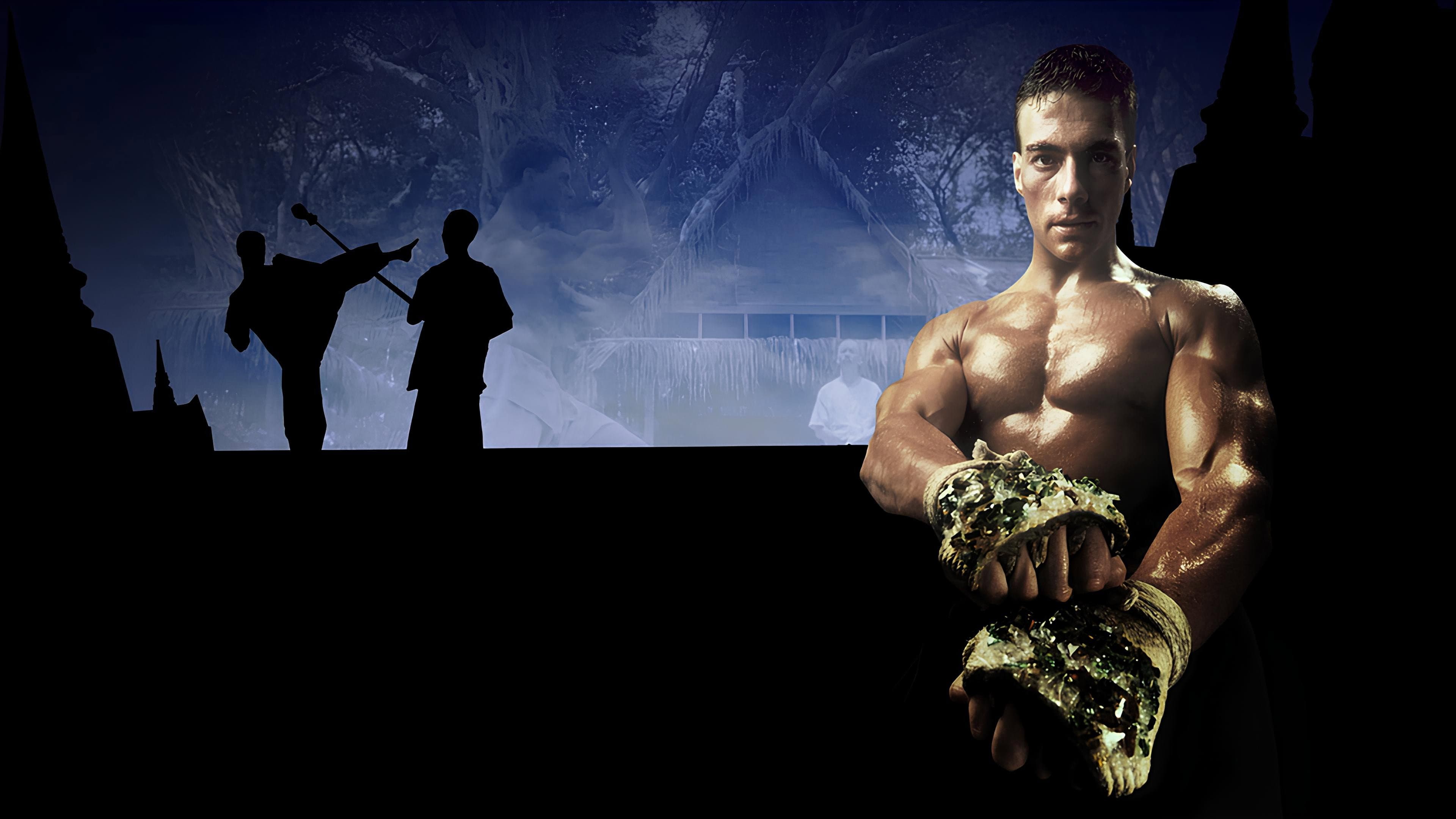 Kickboxer - Il nuovo guerriero - immagine