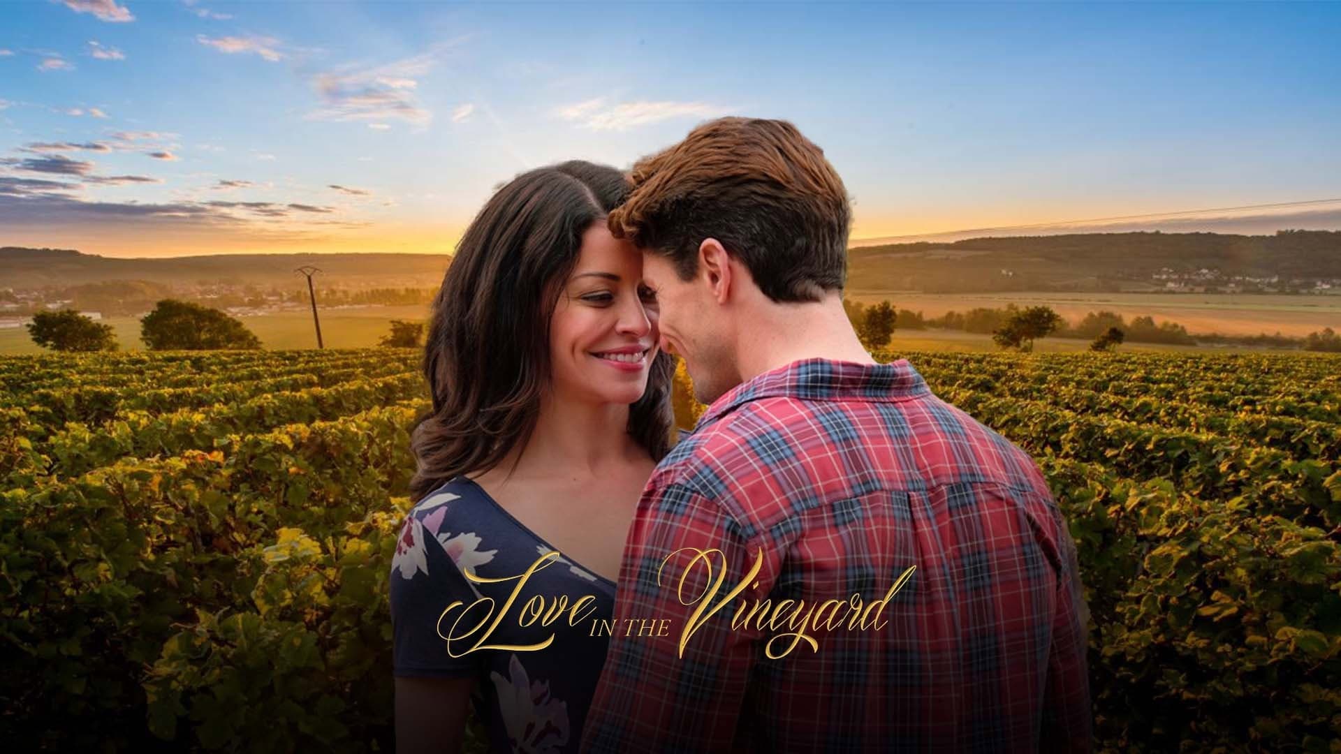 Vino, donne e canzoni - immagine