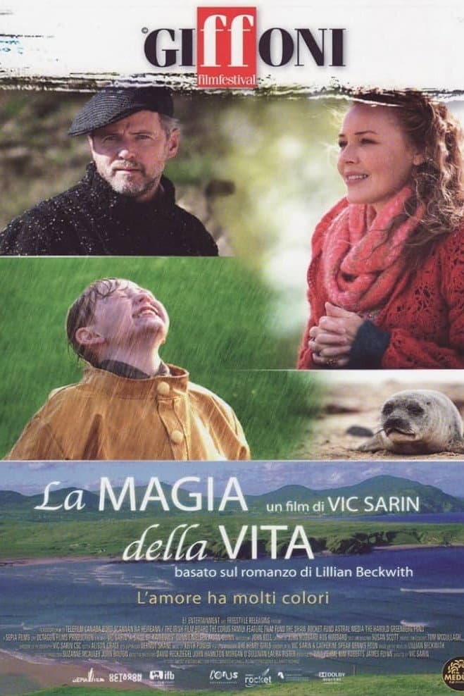 Poster di La magia della vita