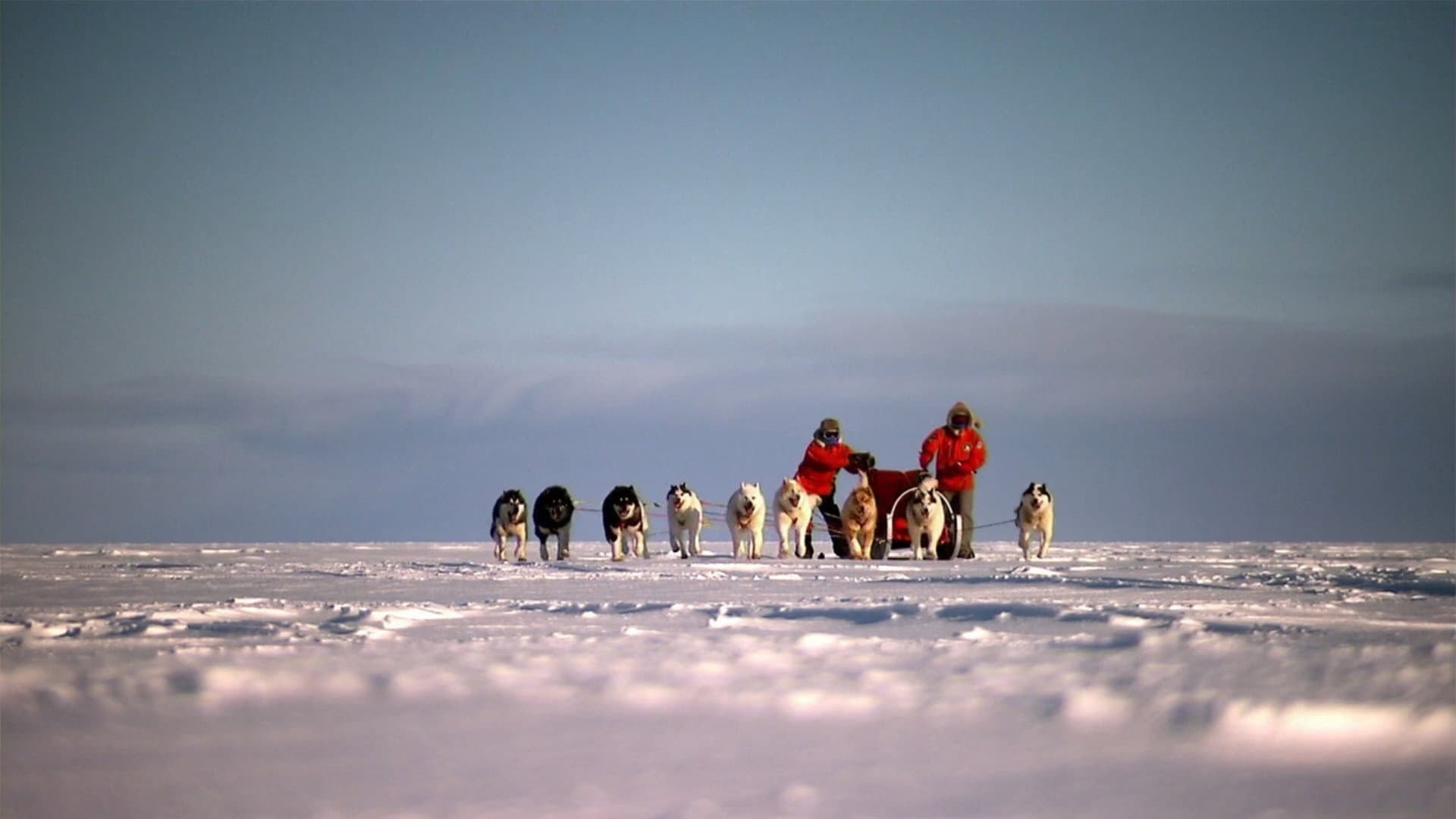 Top Gear: Polar Special - immagine