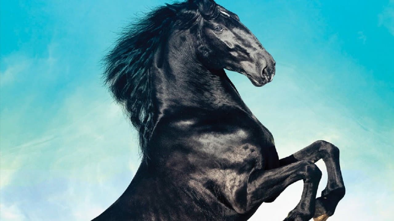 Black Beauty - Una storia di coraggio - immagine