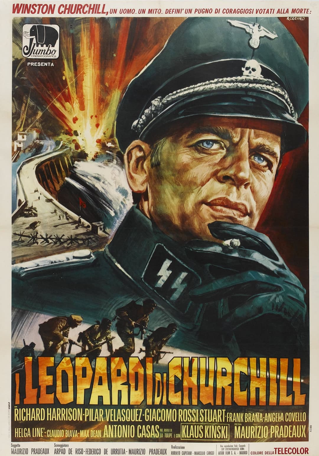Poster di I leopardi di Churchill