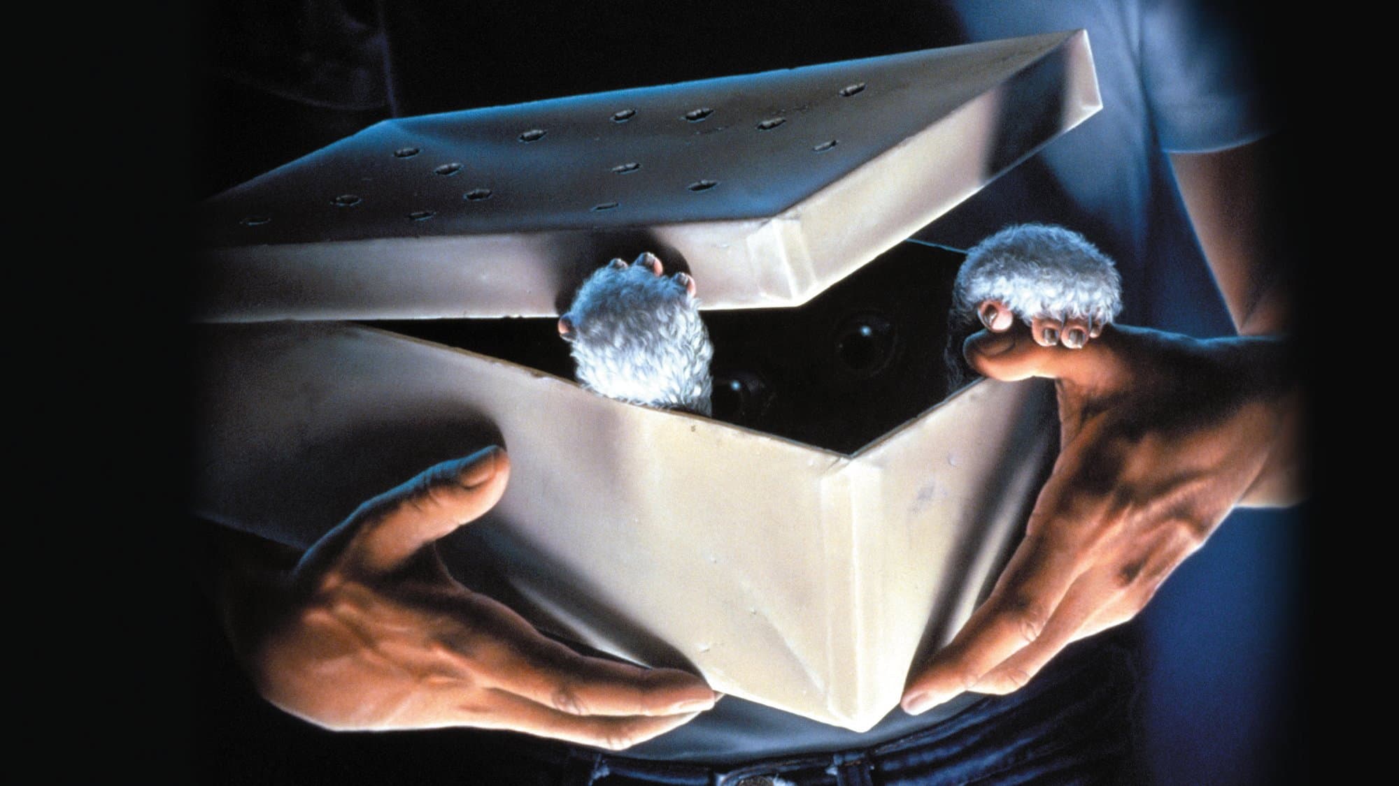 Gremlins - immagine