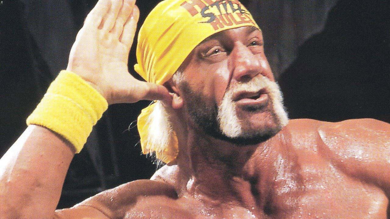 Hollywood Hulk Hogan: Hulk Still Rules - immagine