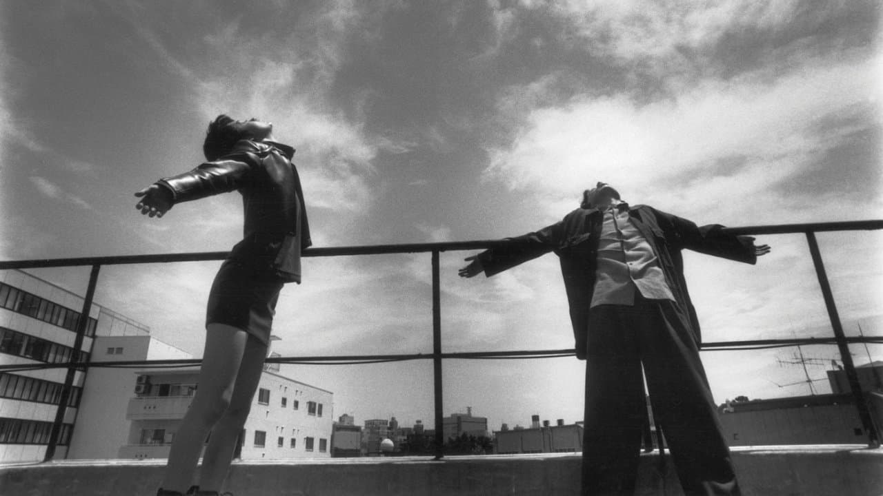 Bullet Ballet - immagine