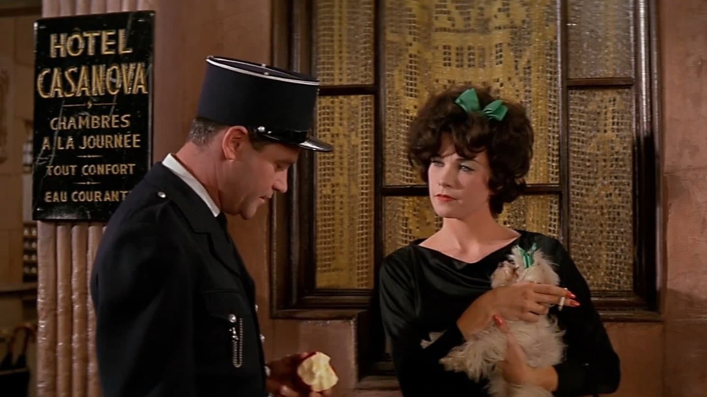 Irma la dolce - immagine
