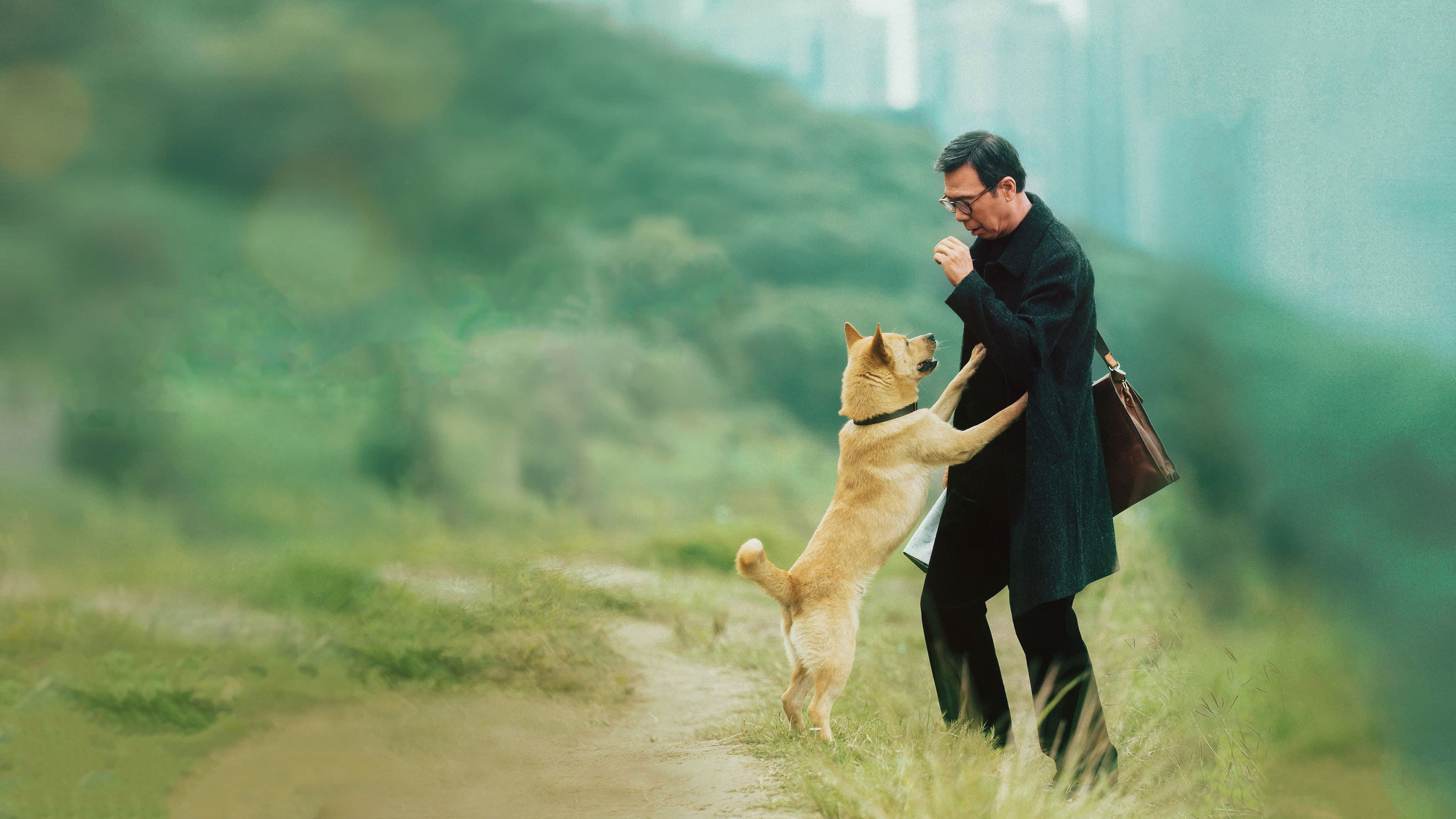 Hachiko - immagine