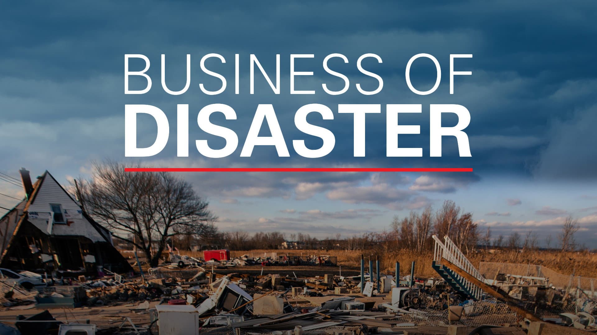 Business of Disaster - immagine