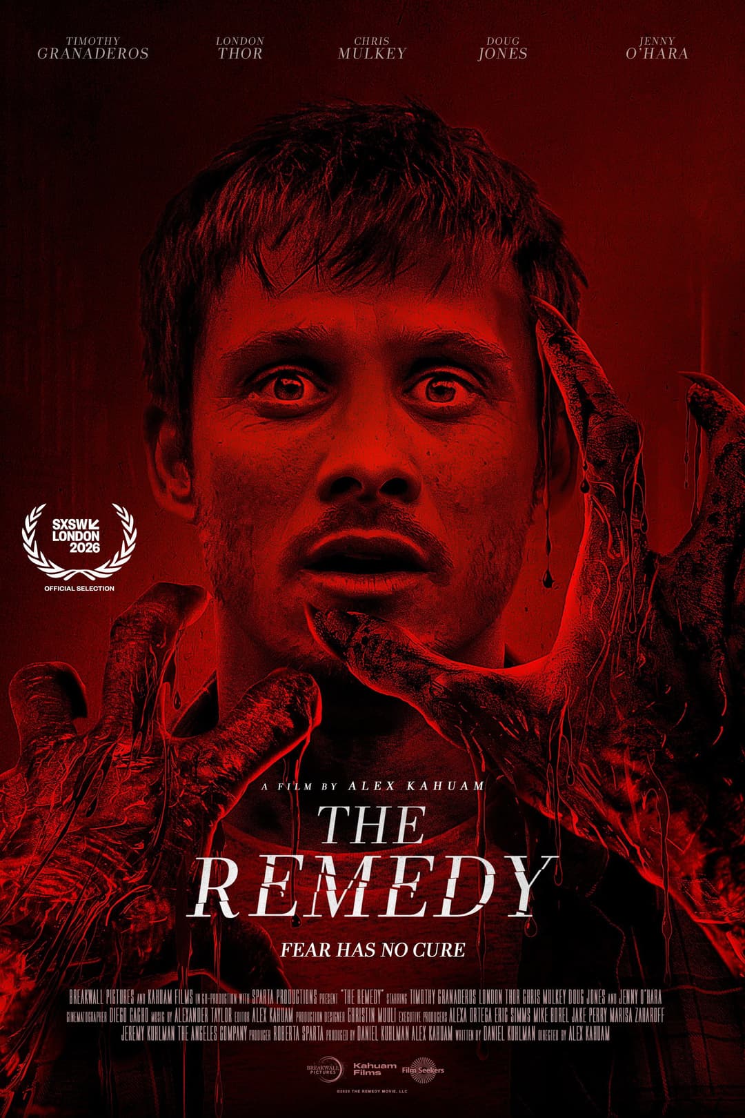 Poster di The Remedy