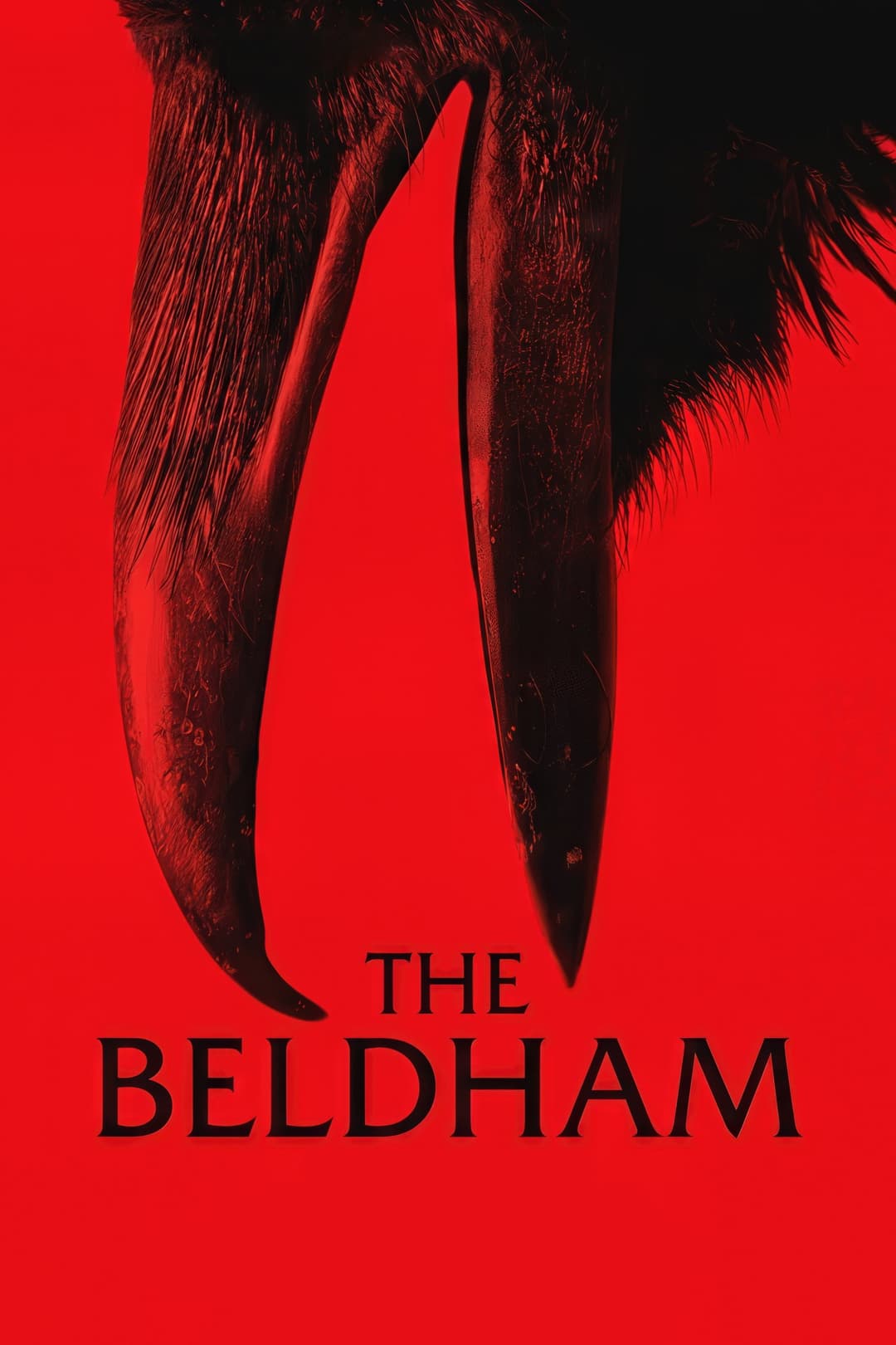 Poster di The Beldham