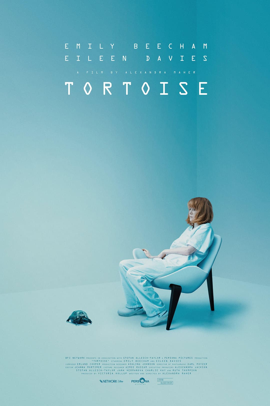 Poster di Tortoise