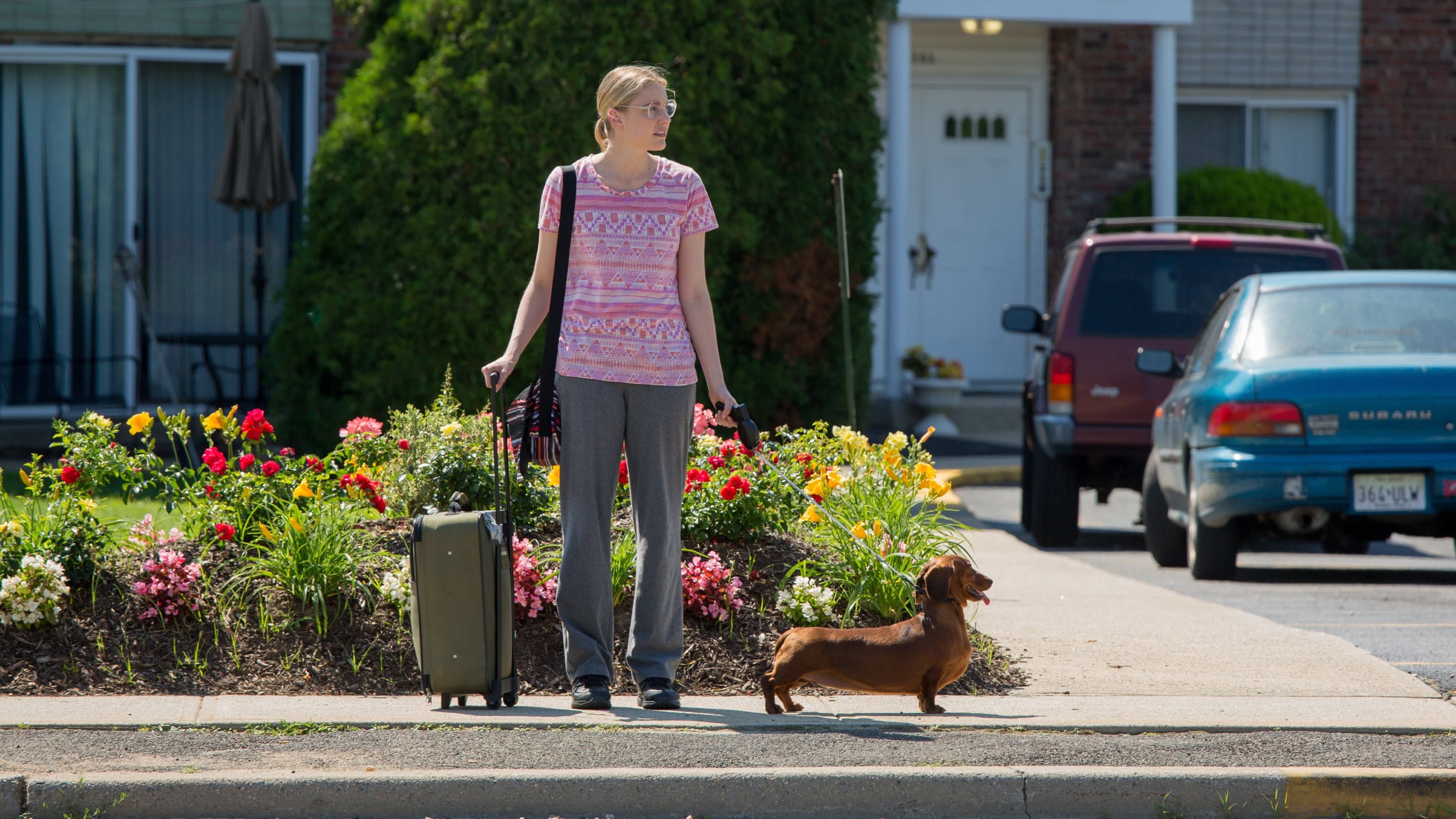 Wiener-Dog - immagine
