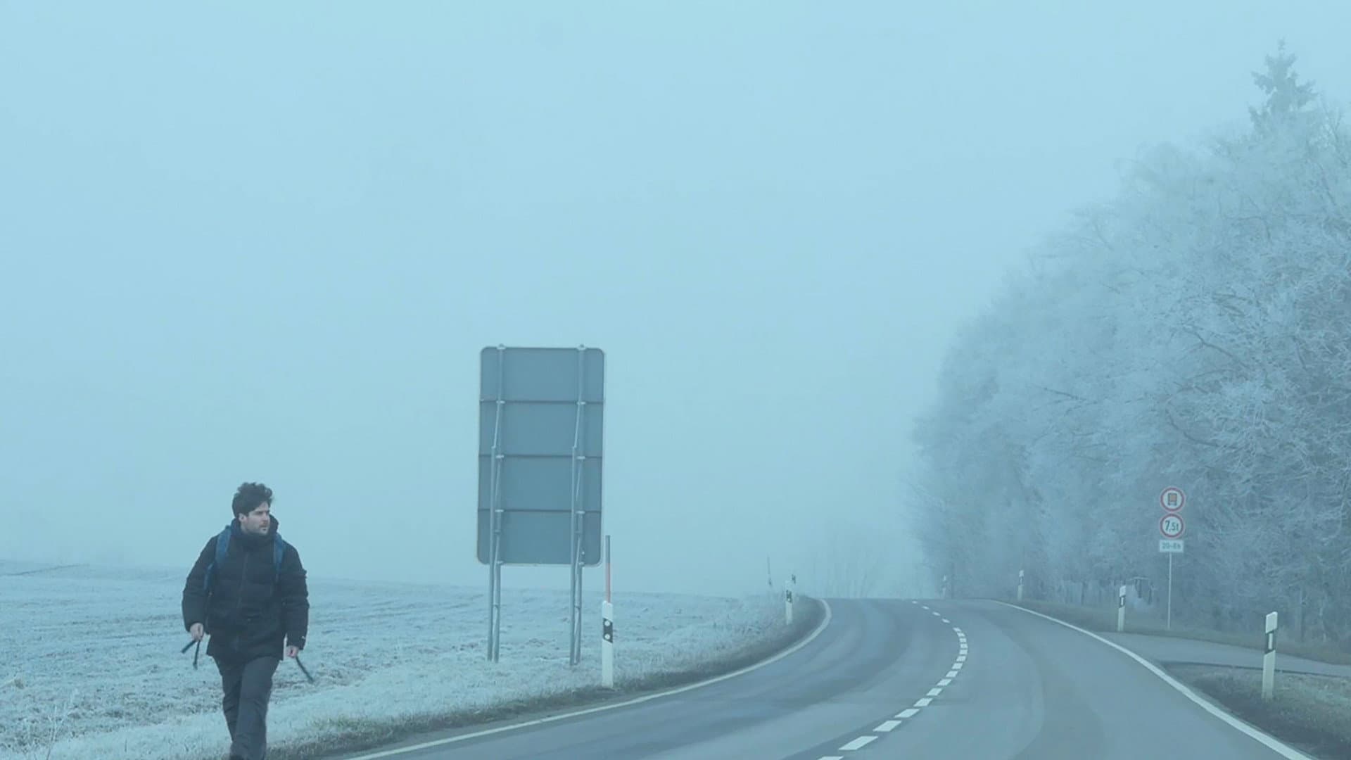 Dear Werner (Walking on Cinema) - immagine