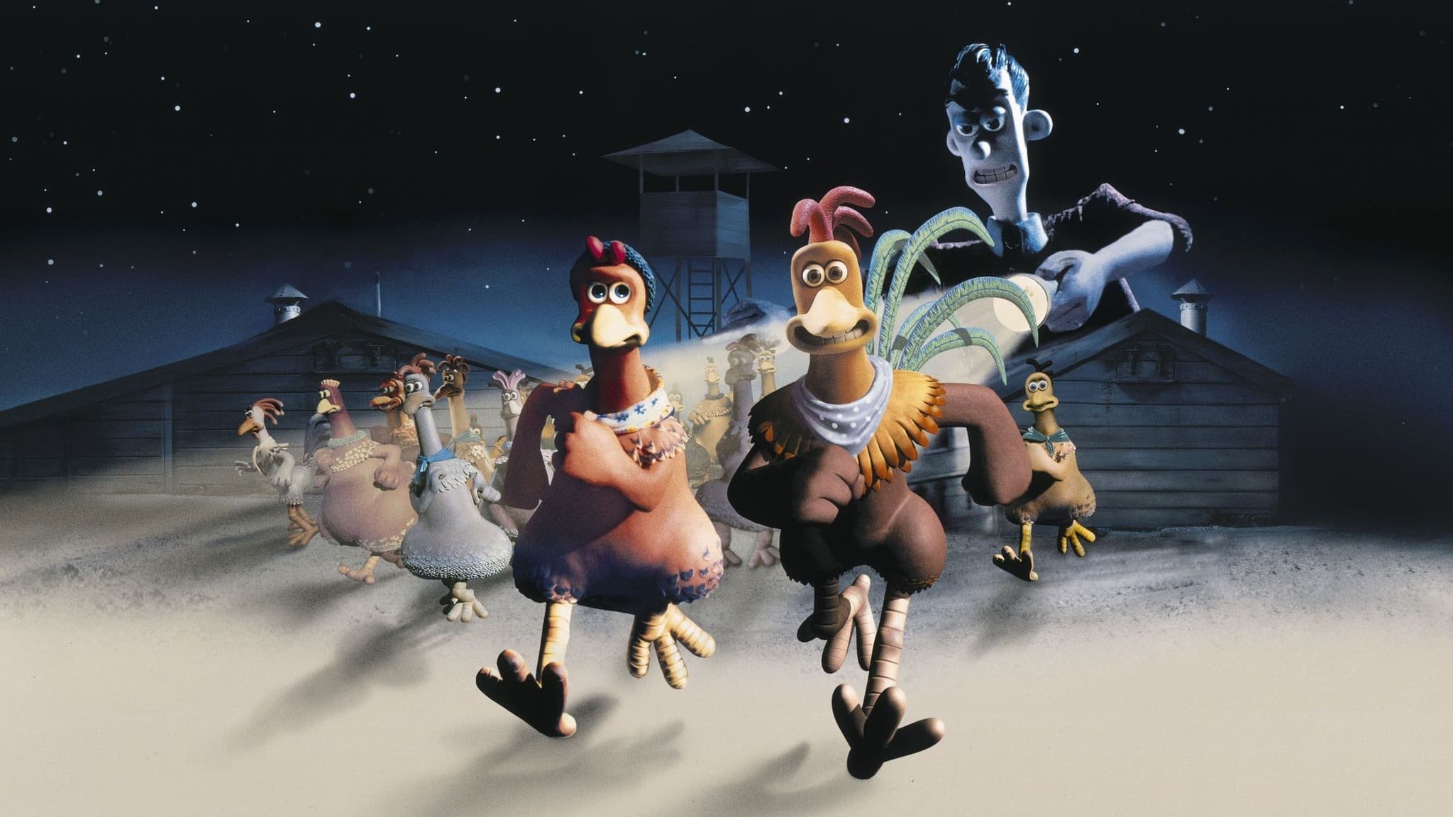 Galline in fuga - immagine