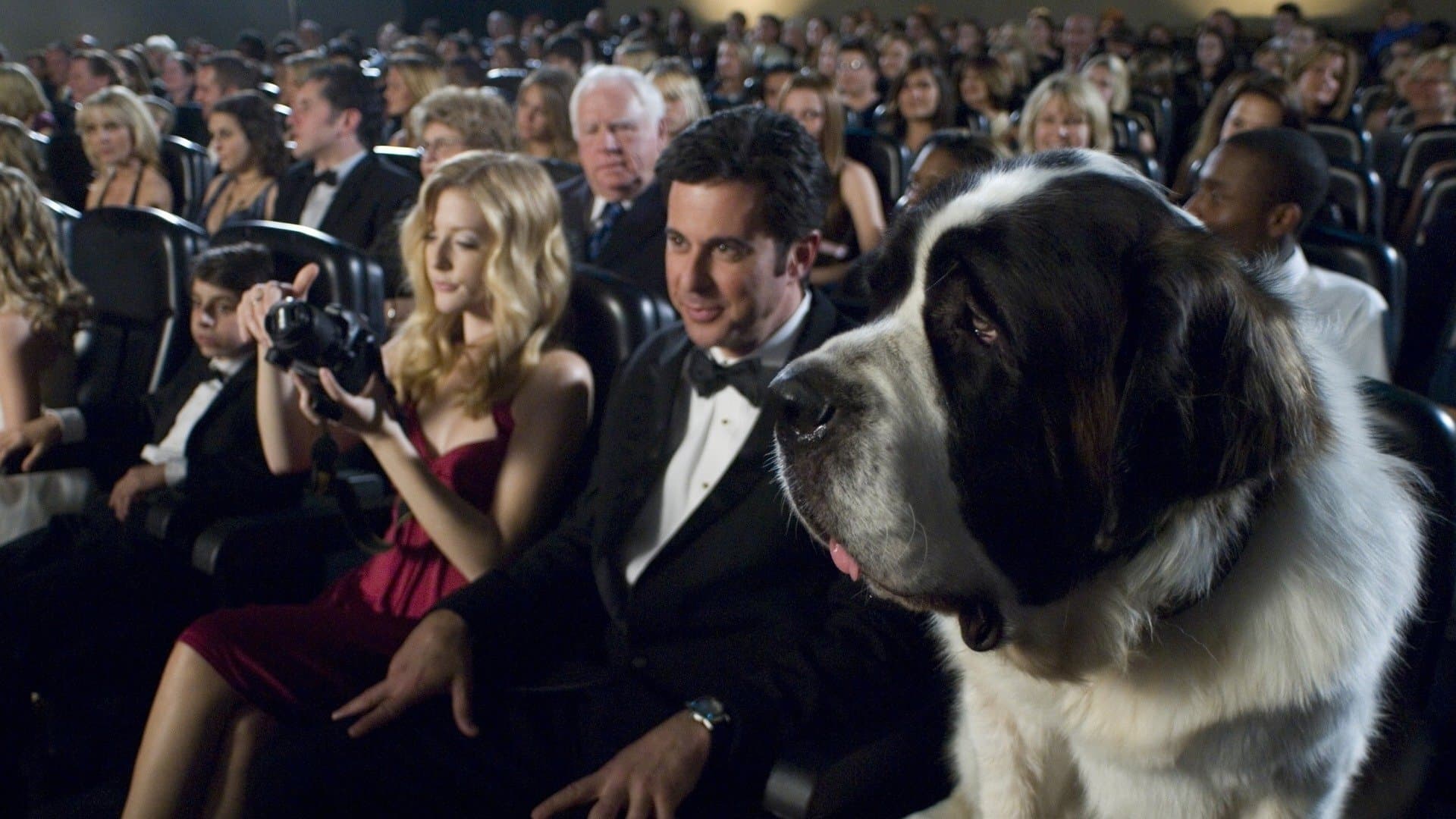 Beethoven - A caccia di Oss... car! - immagine