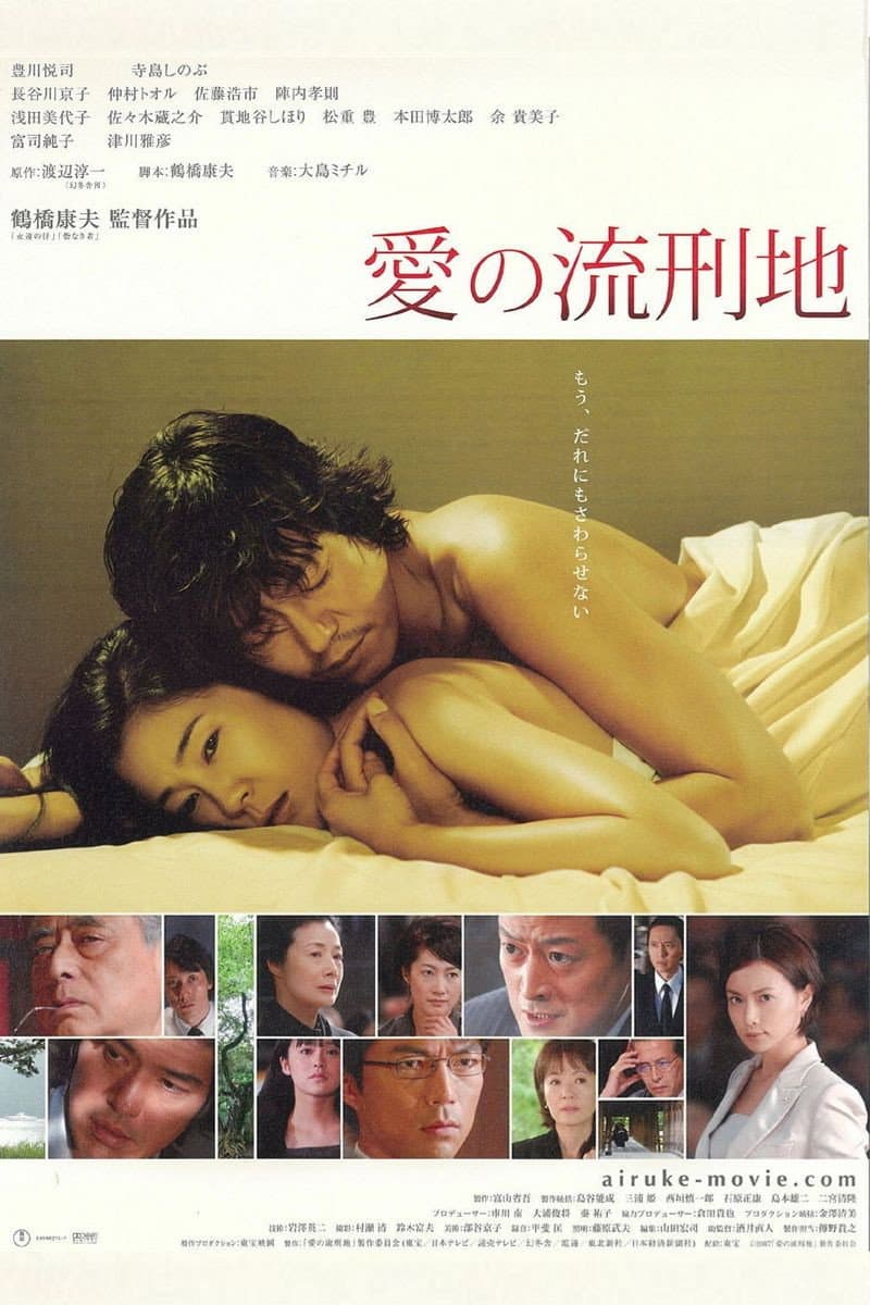 Poster di 愛の流刑地