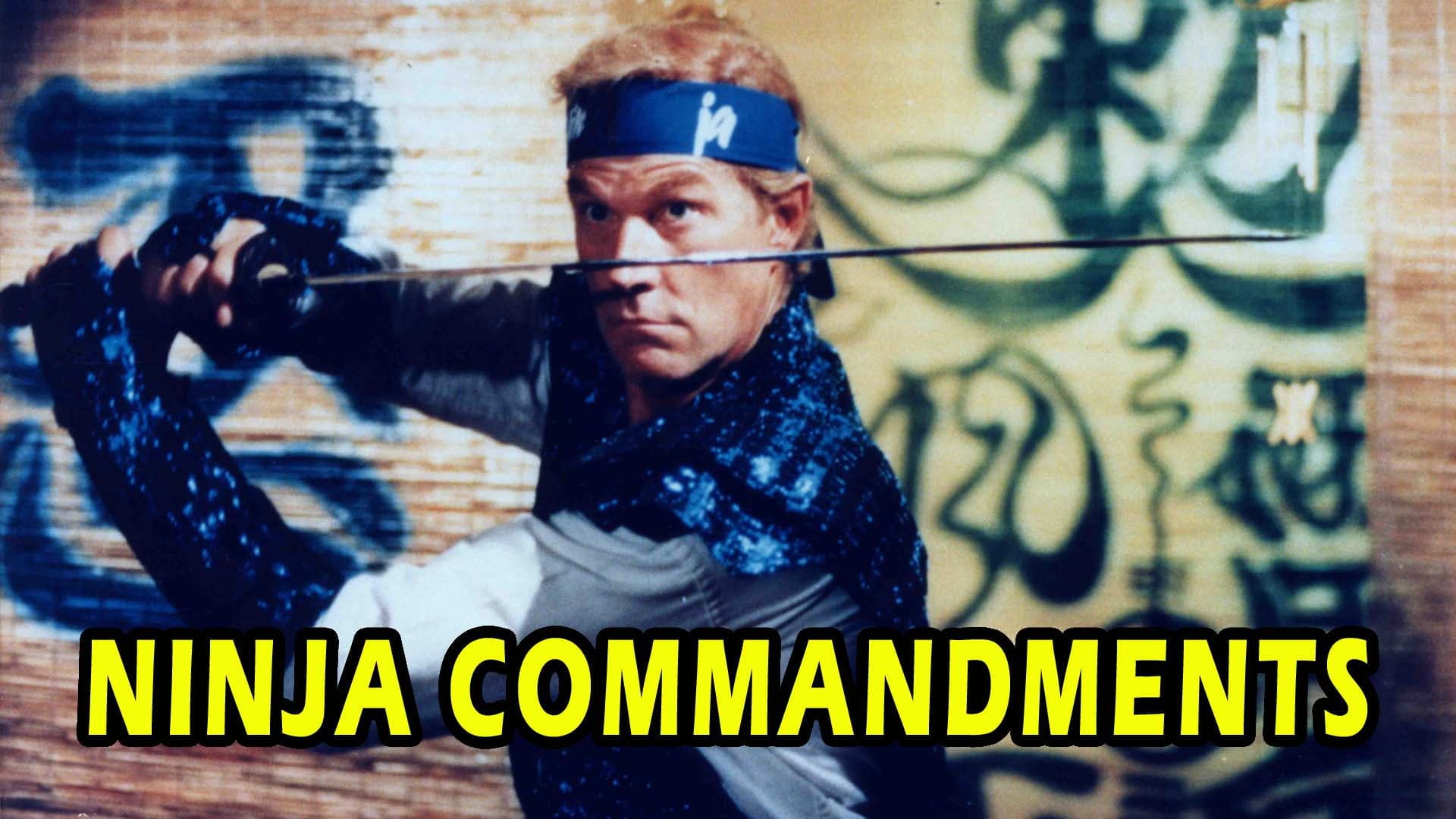 Ninja Commandments - immagine