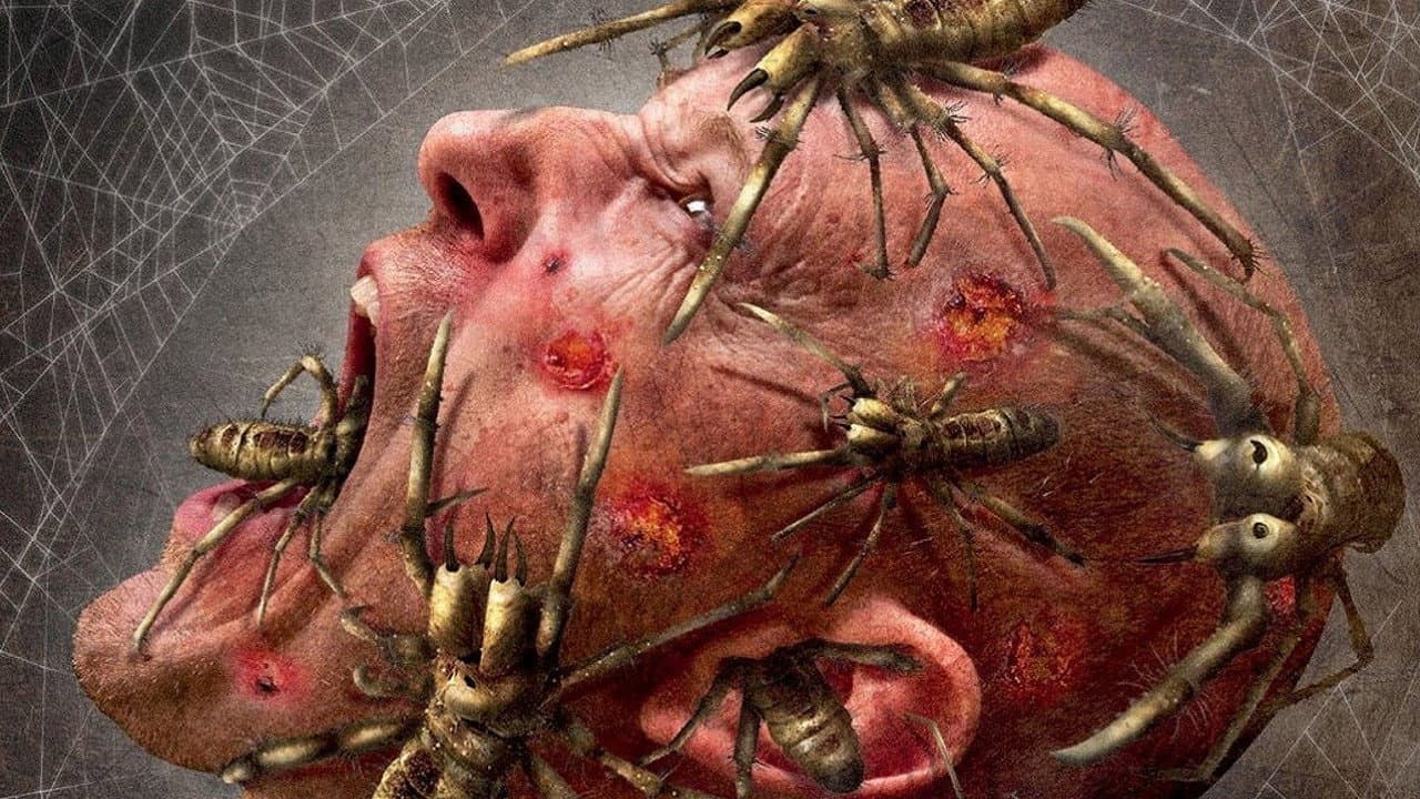 Camel Spiders - immagine