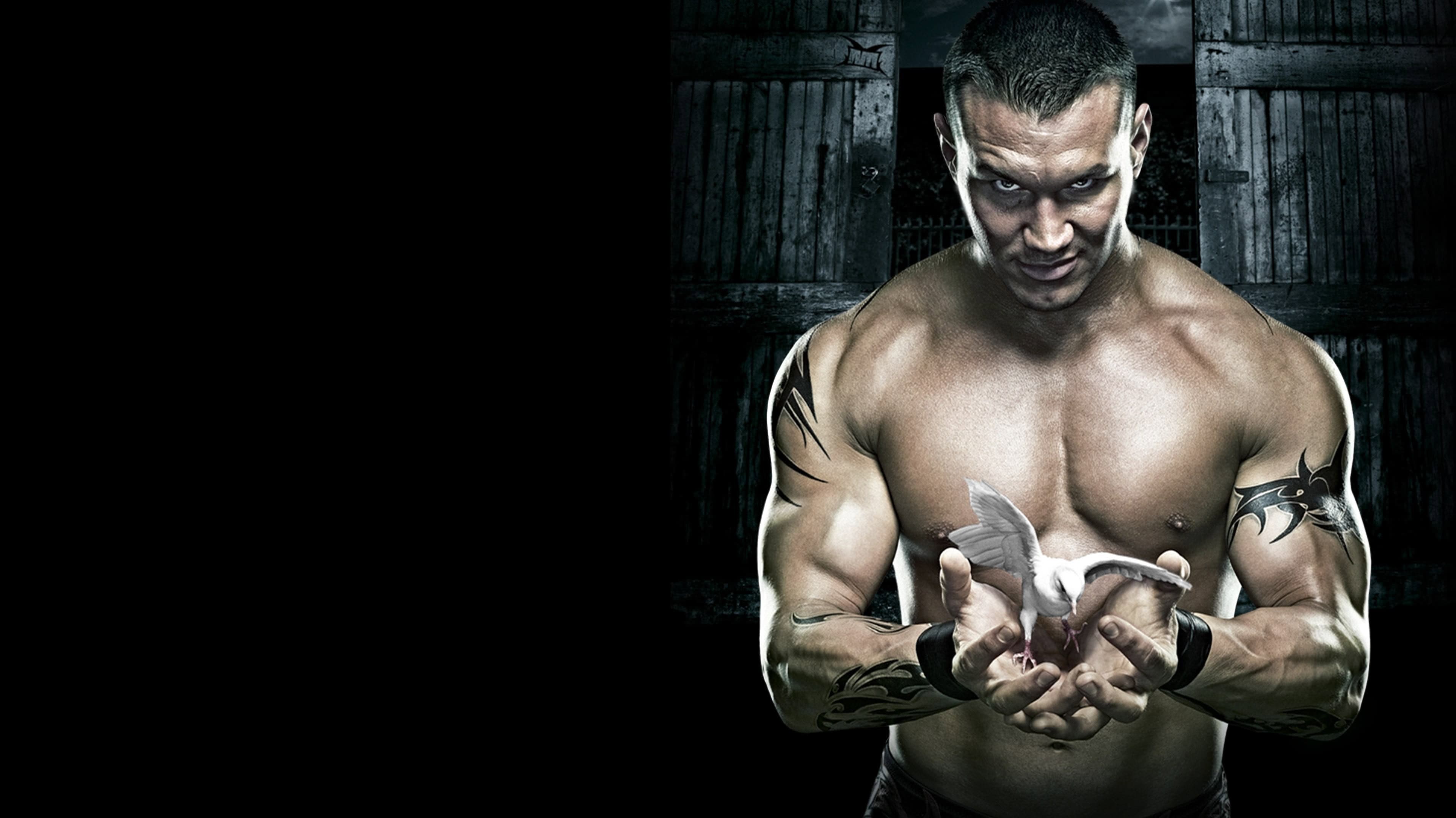 WWE No Mercy 2007 - immagine