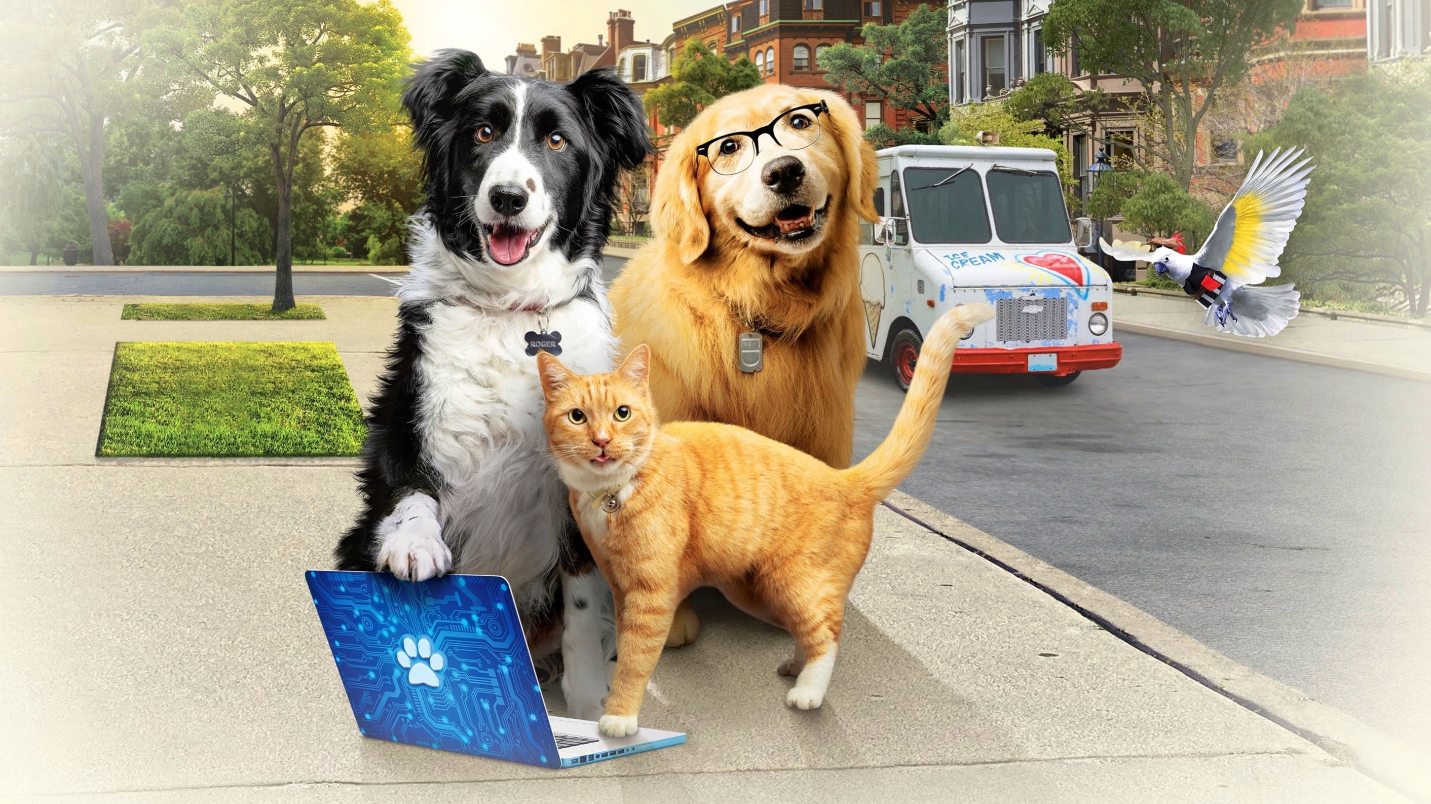 Cani e gatti 3 - Zampe unite - immagine