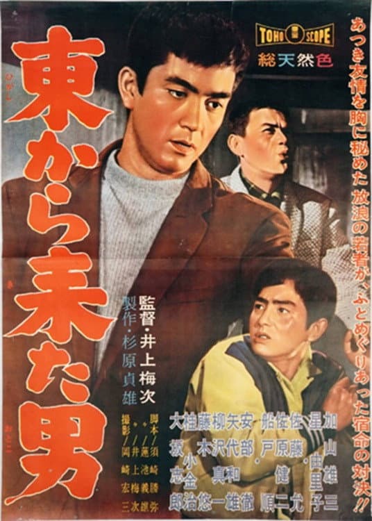 Poster di 東から来た男