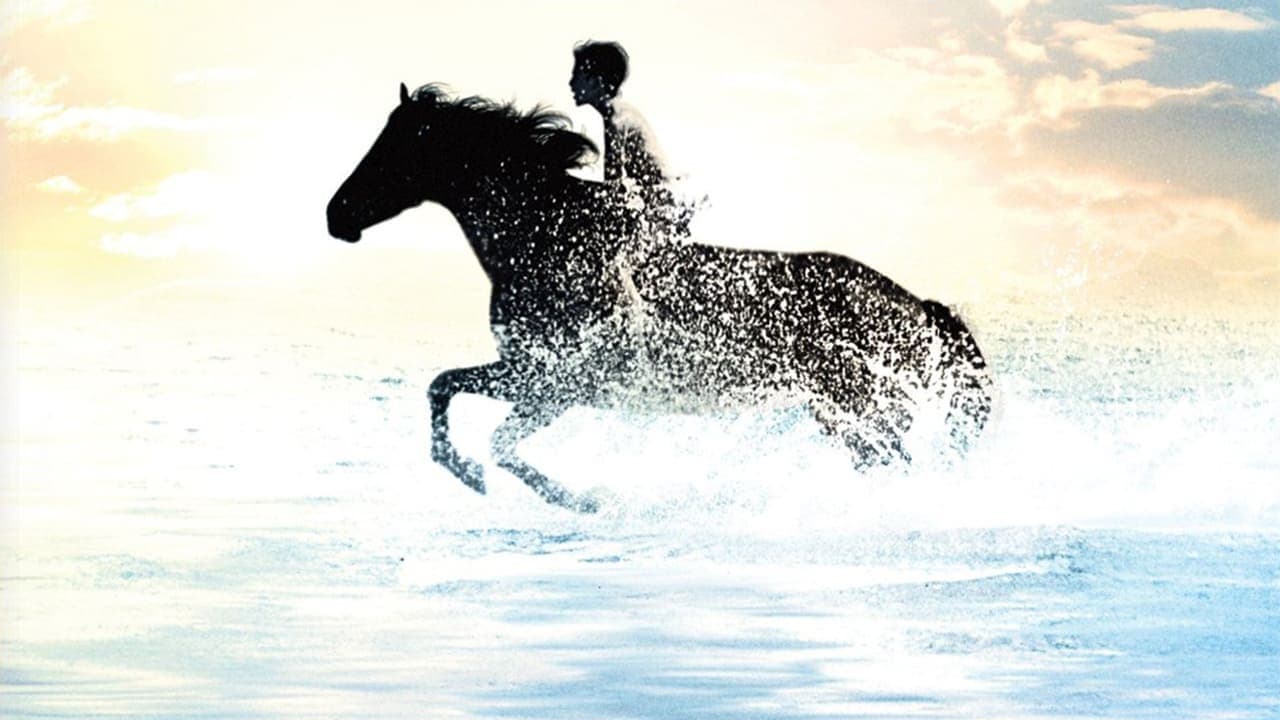 Black Stallion - immagine