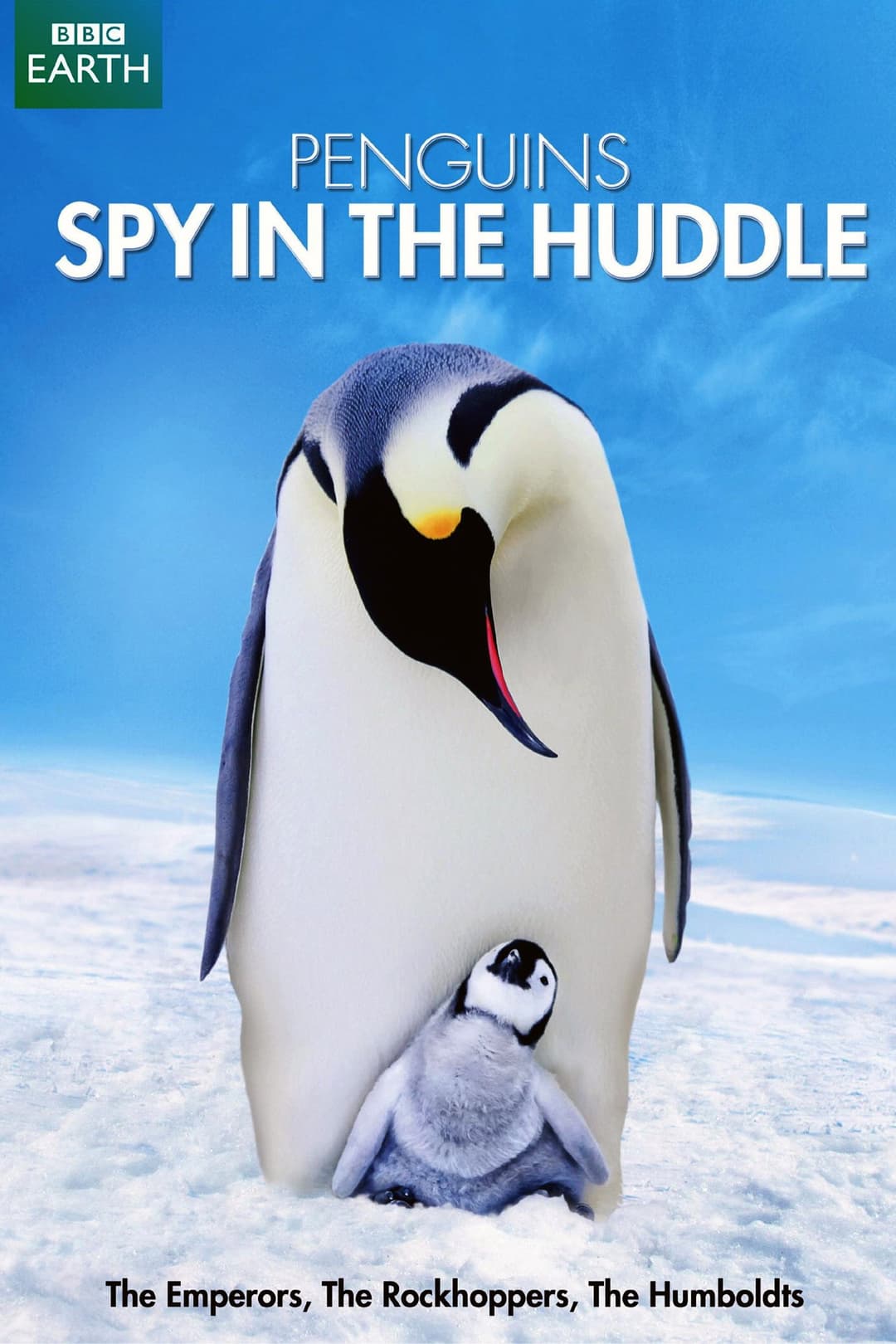 Poster di Il pinguino: una spia tra la folla