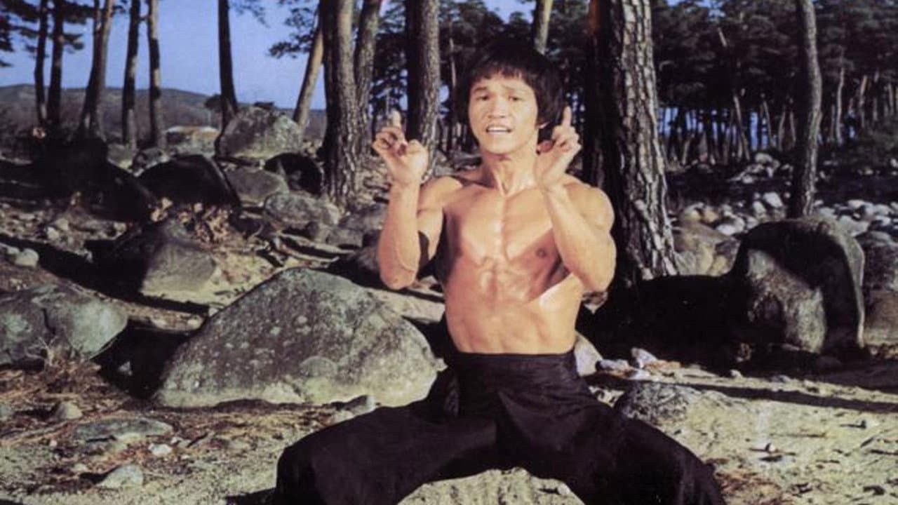 Bruce and Shaolin Kung Fu - immagine