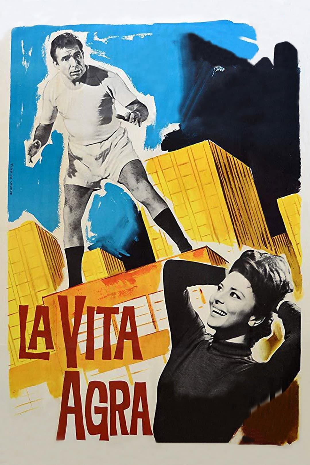 Poster di La vita agra