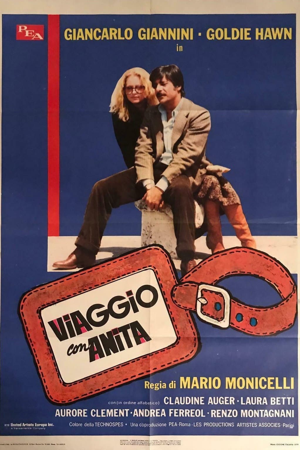 Poster di Viaggio con Anita
