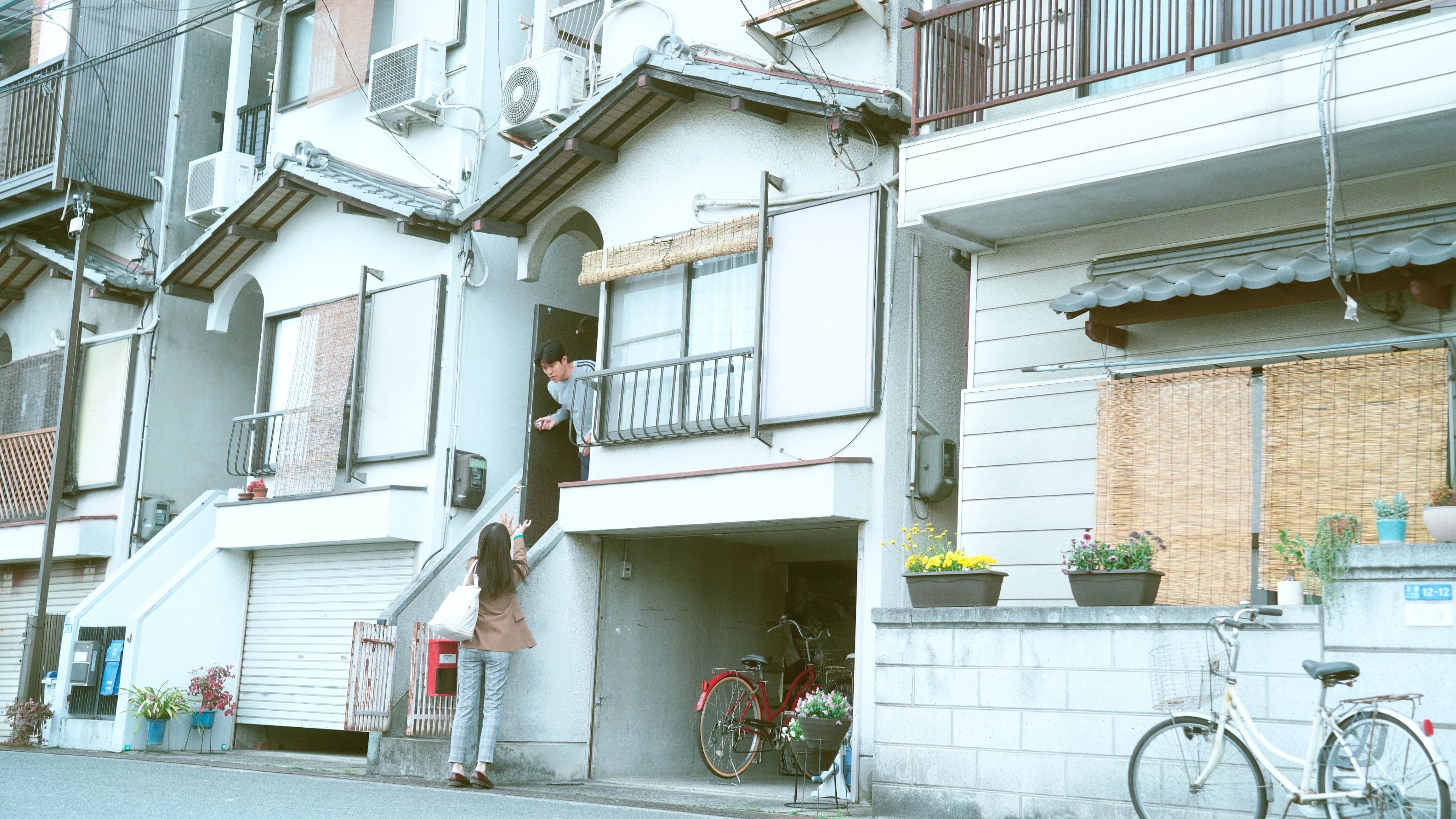 花まんま - immagine