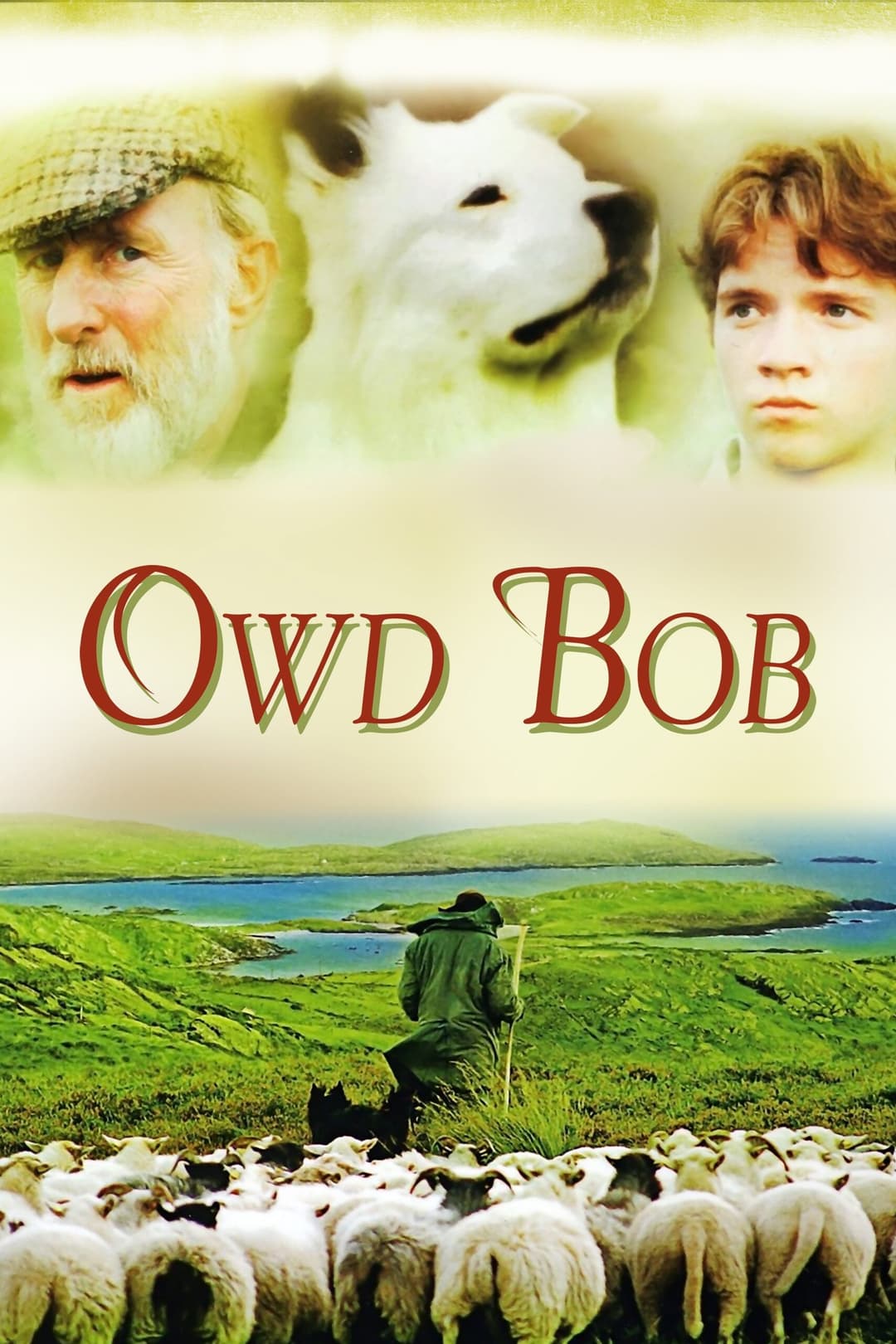 Poster di Owd Bob